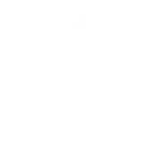 Miami Logo