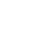 New York Logo