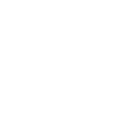 Shanghai Logo