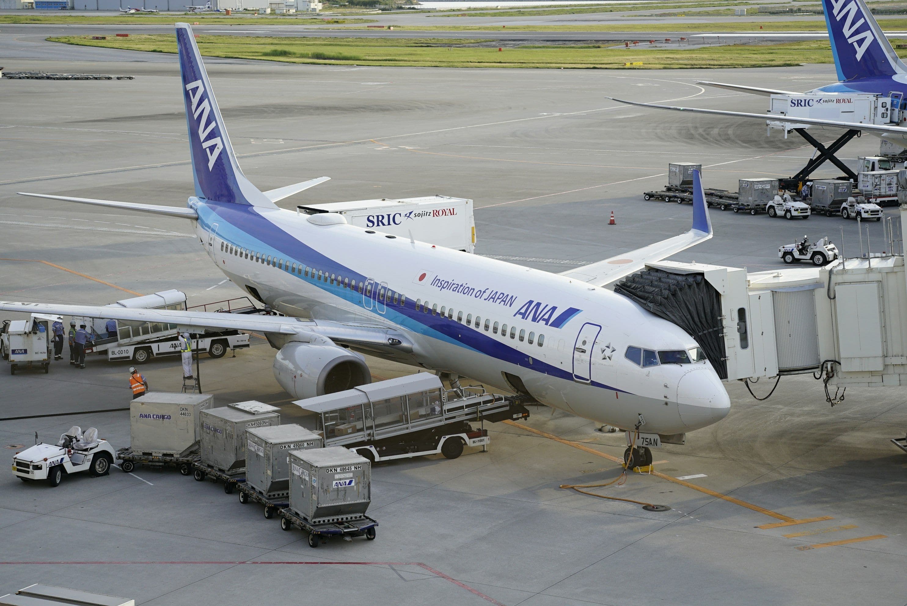 ANA Devaluation