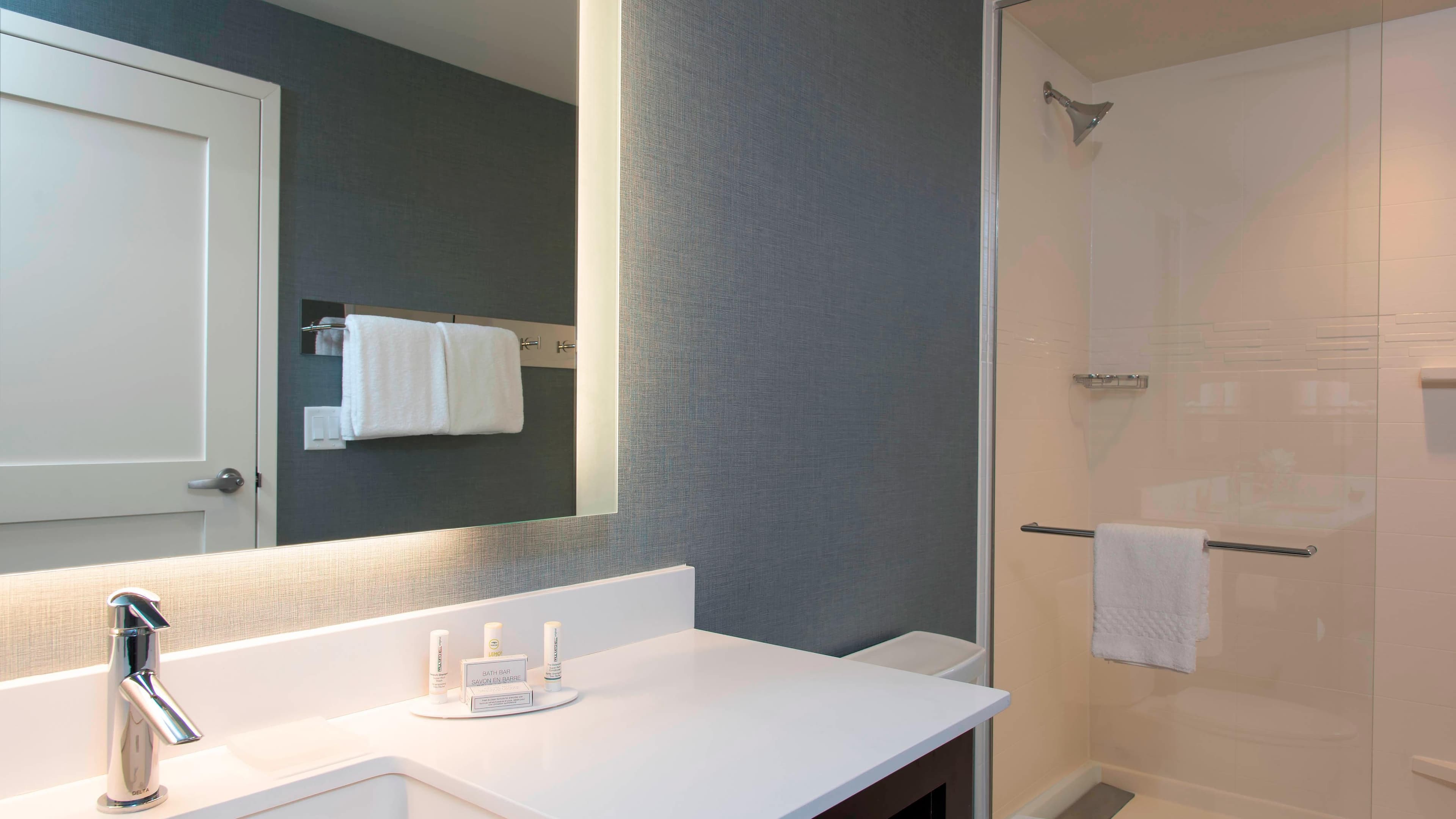 1 Bedroom Suite - Image 6