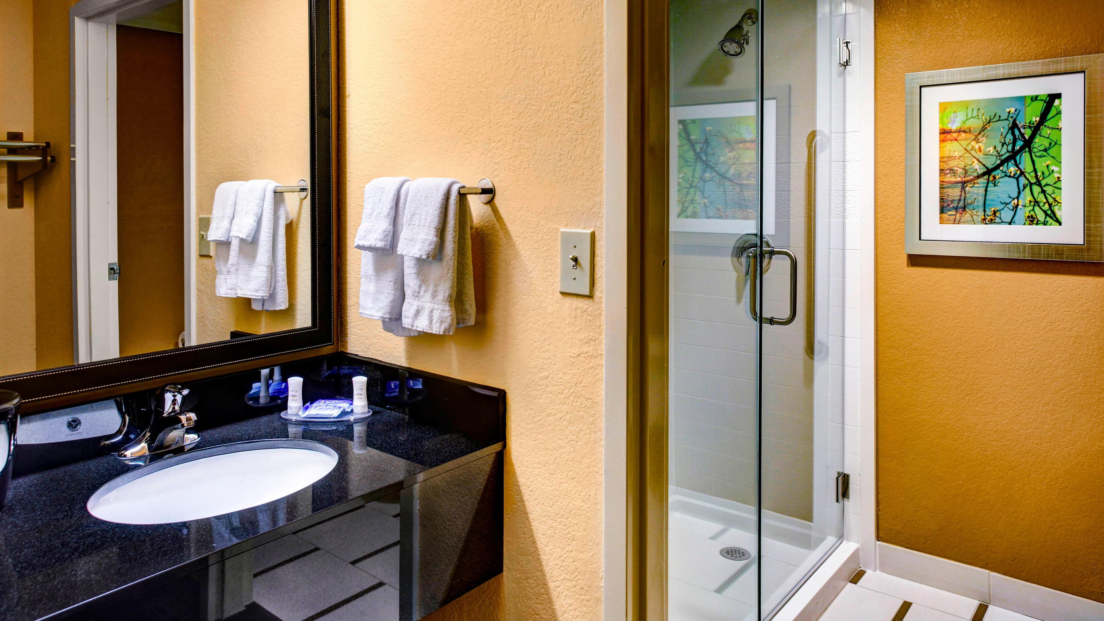 Fairfield Inn & Suites Atlanta Suwanee - Image 5