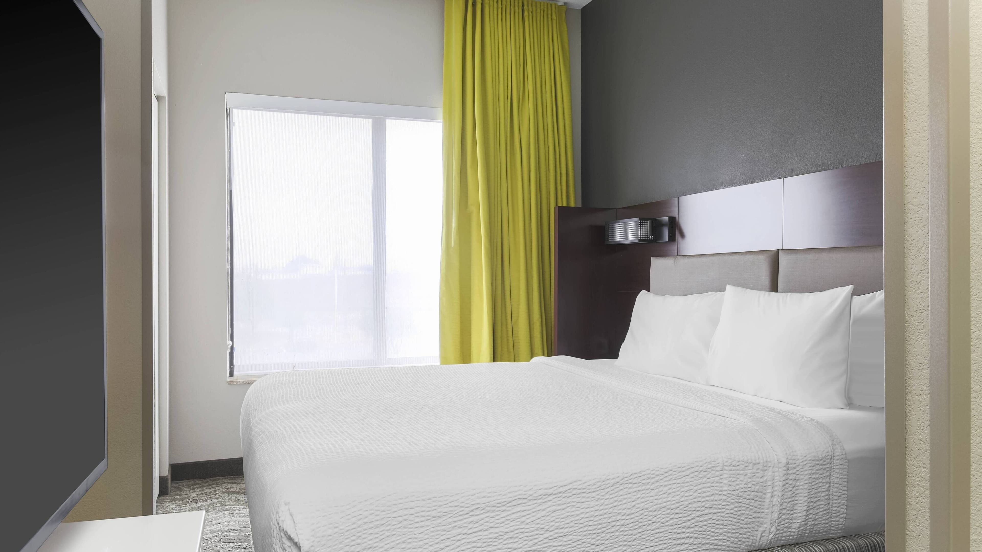 Studio Suite - Image 2