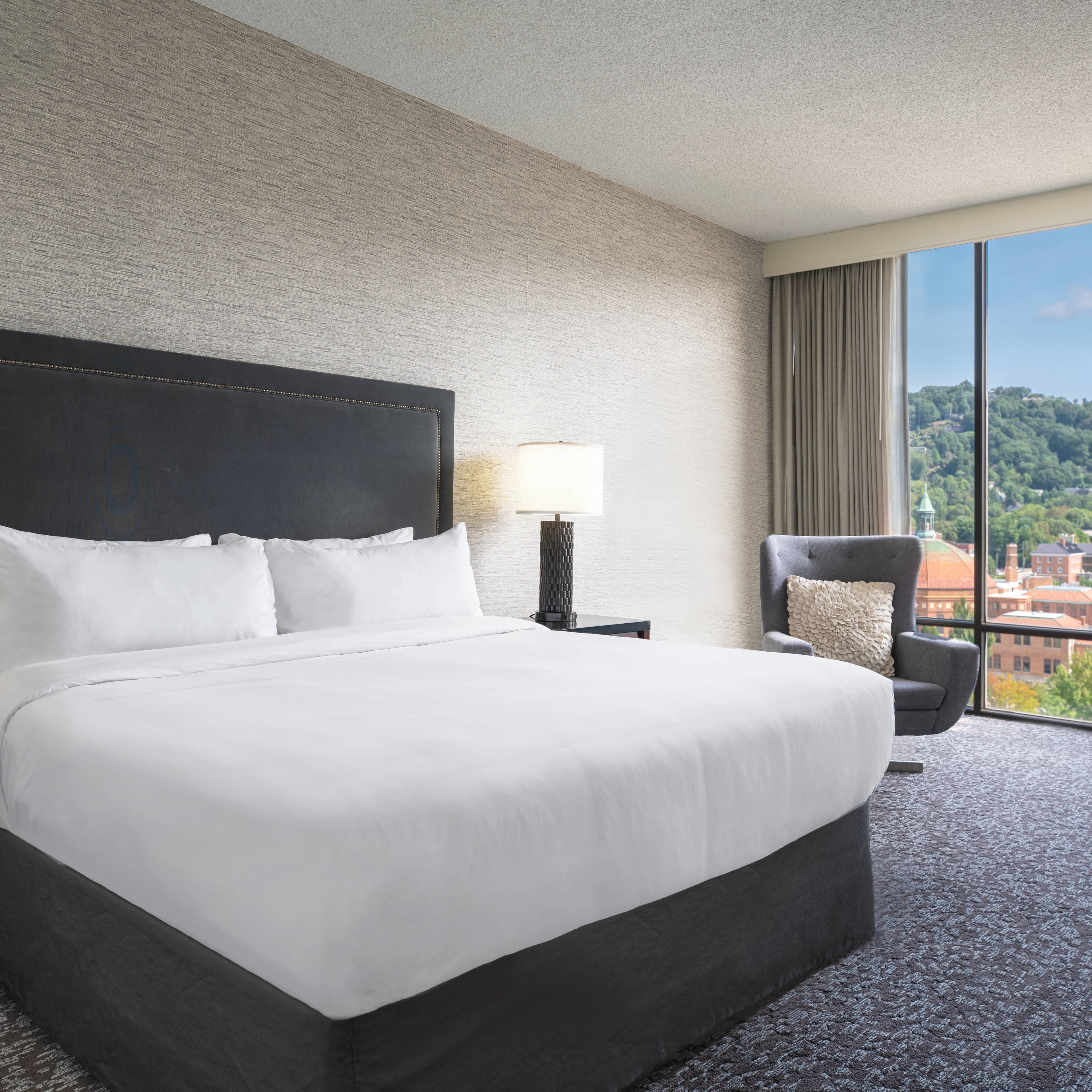 Renaissance Asheville Downtown Hotel