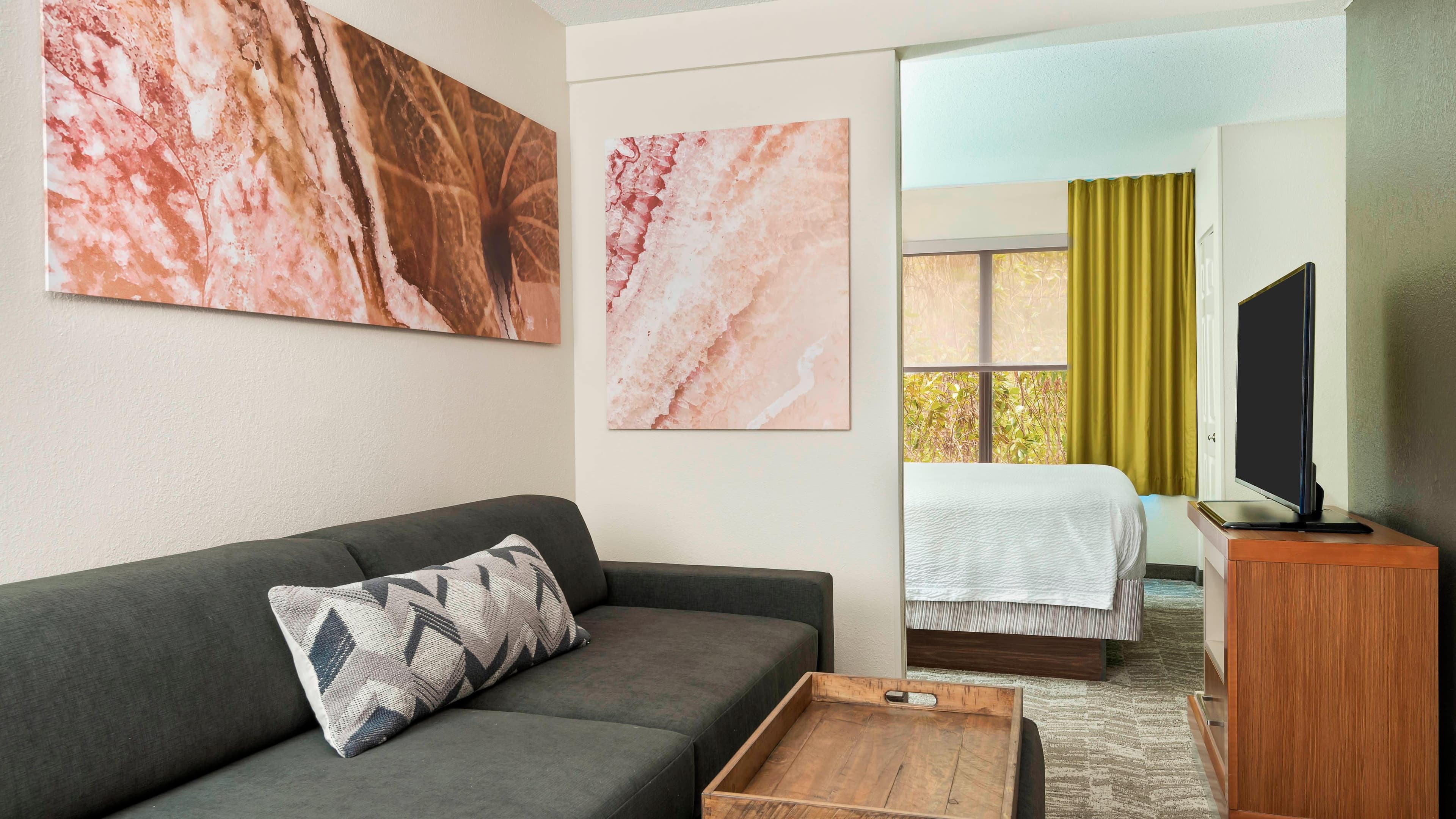 SpringHill Suites Asheville — 8