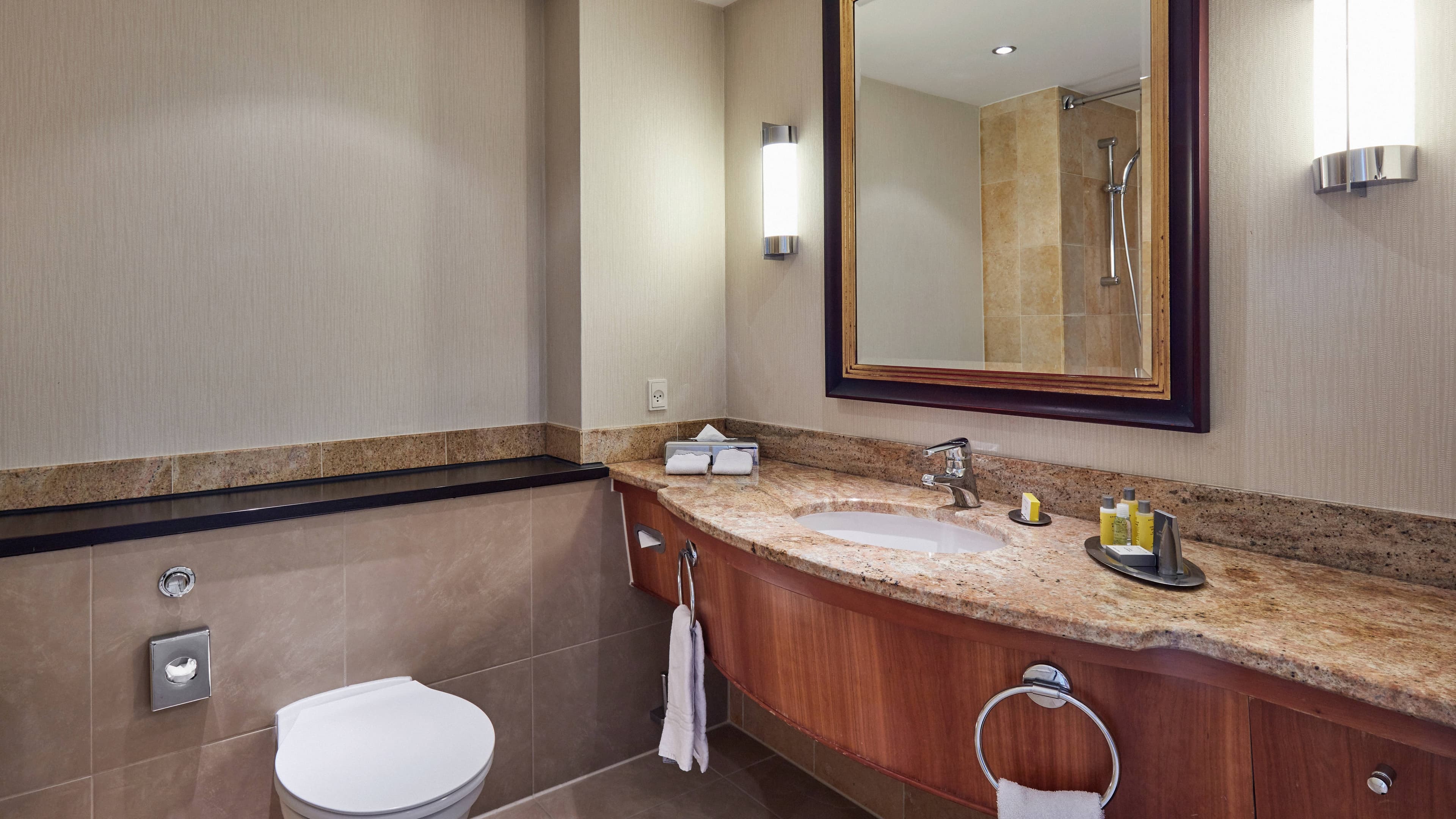 Deluxe Guest room - Image 5