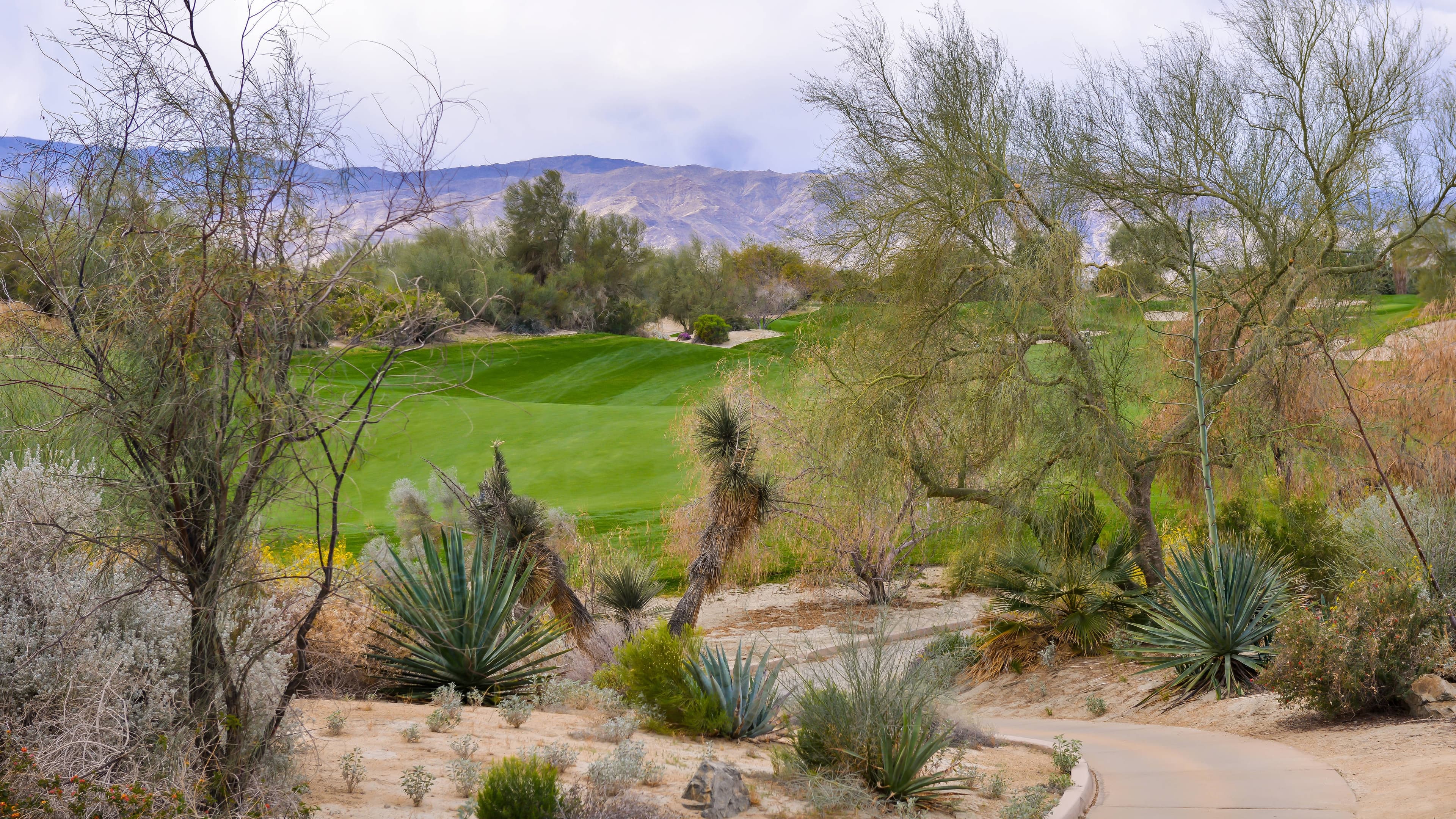 Residence Inn Palm Desert - Image 5