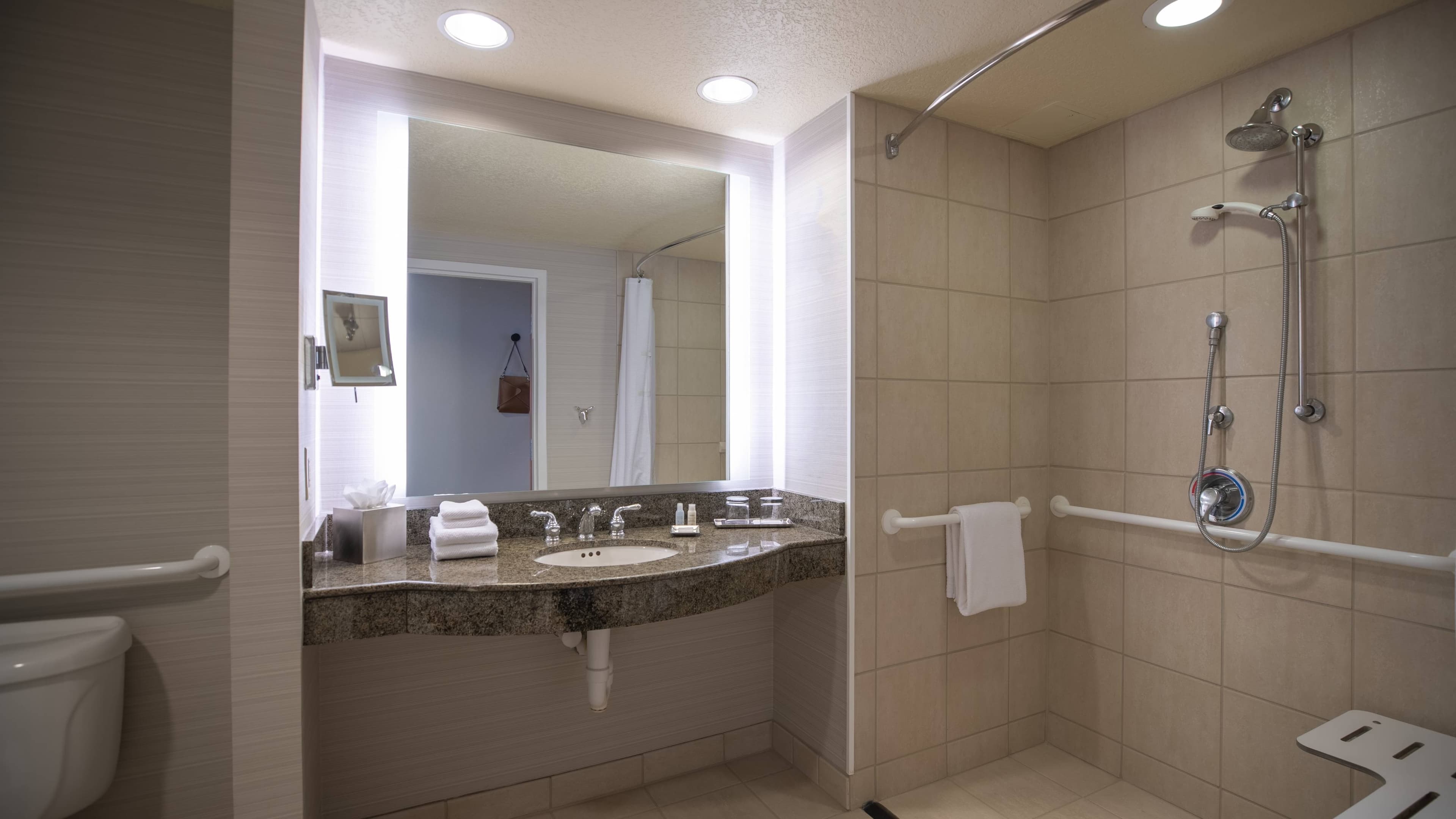 Renaissance Dallas Richardson Hotel - Image 4