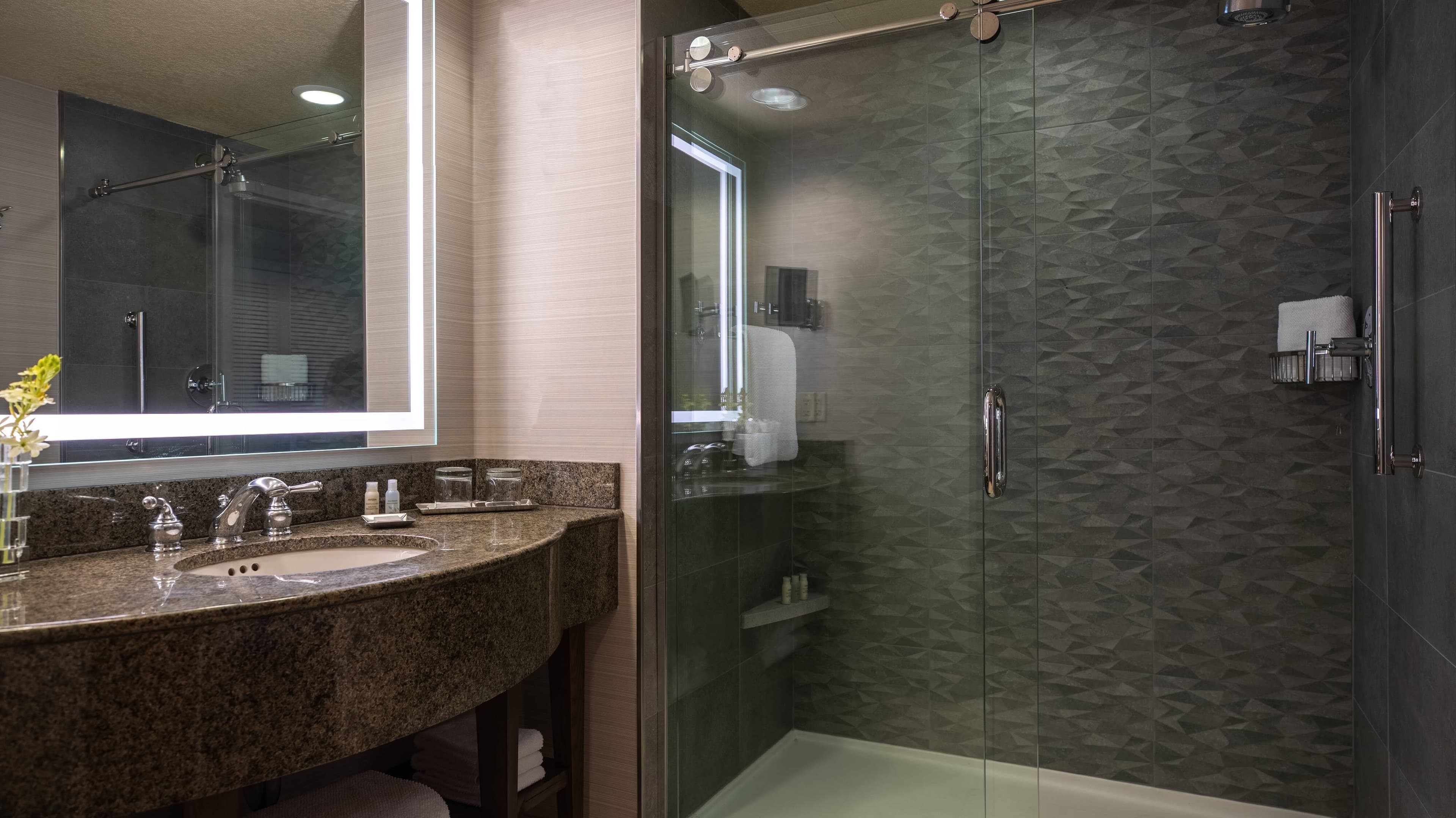 Renaissance Dallas Richardson Hotel - Image 3
