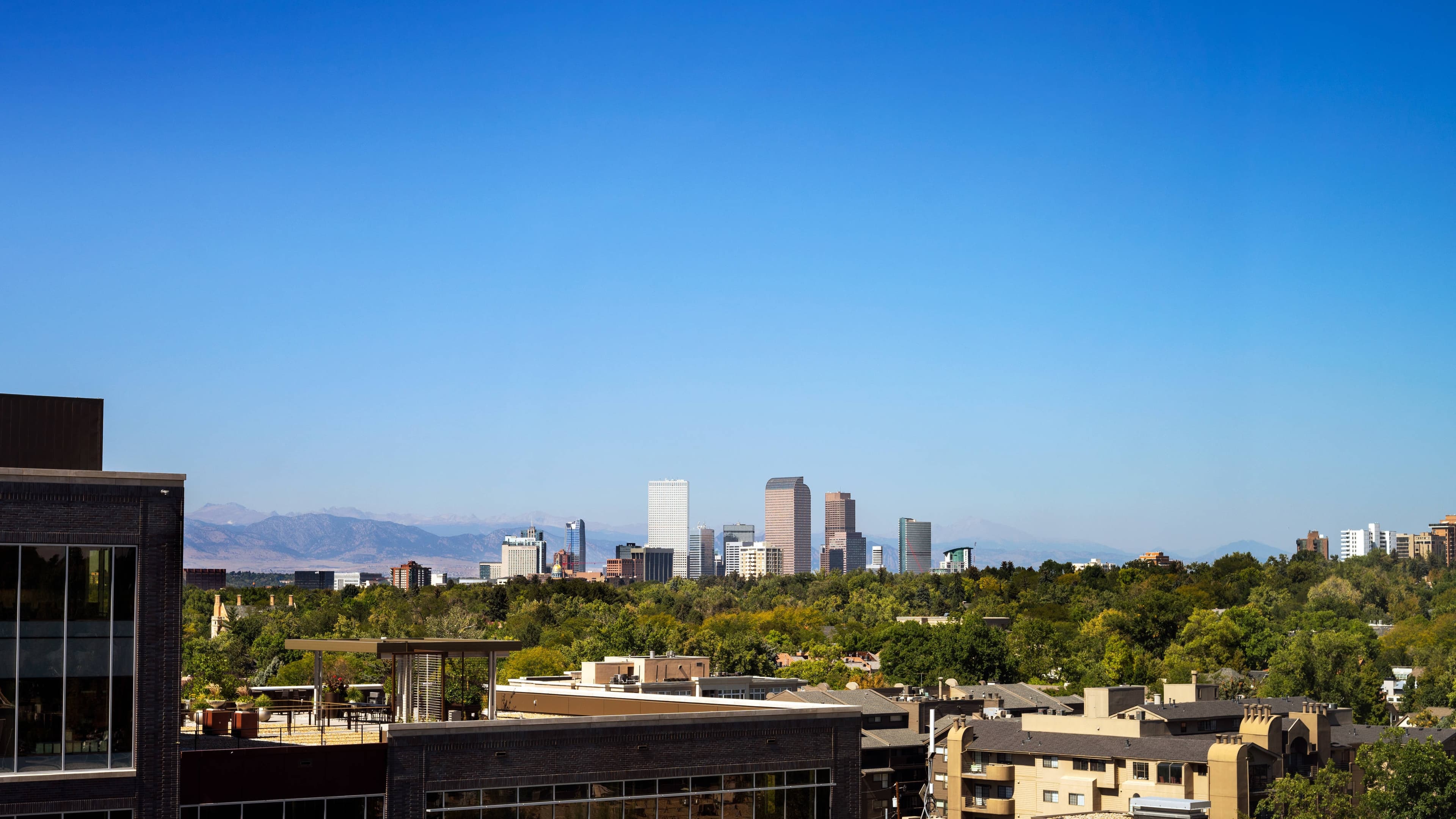 The Jacquard, Autograph Collection - Image 4