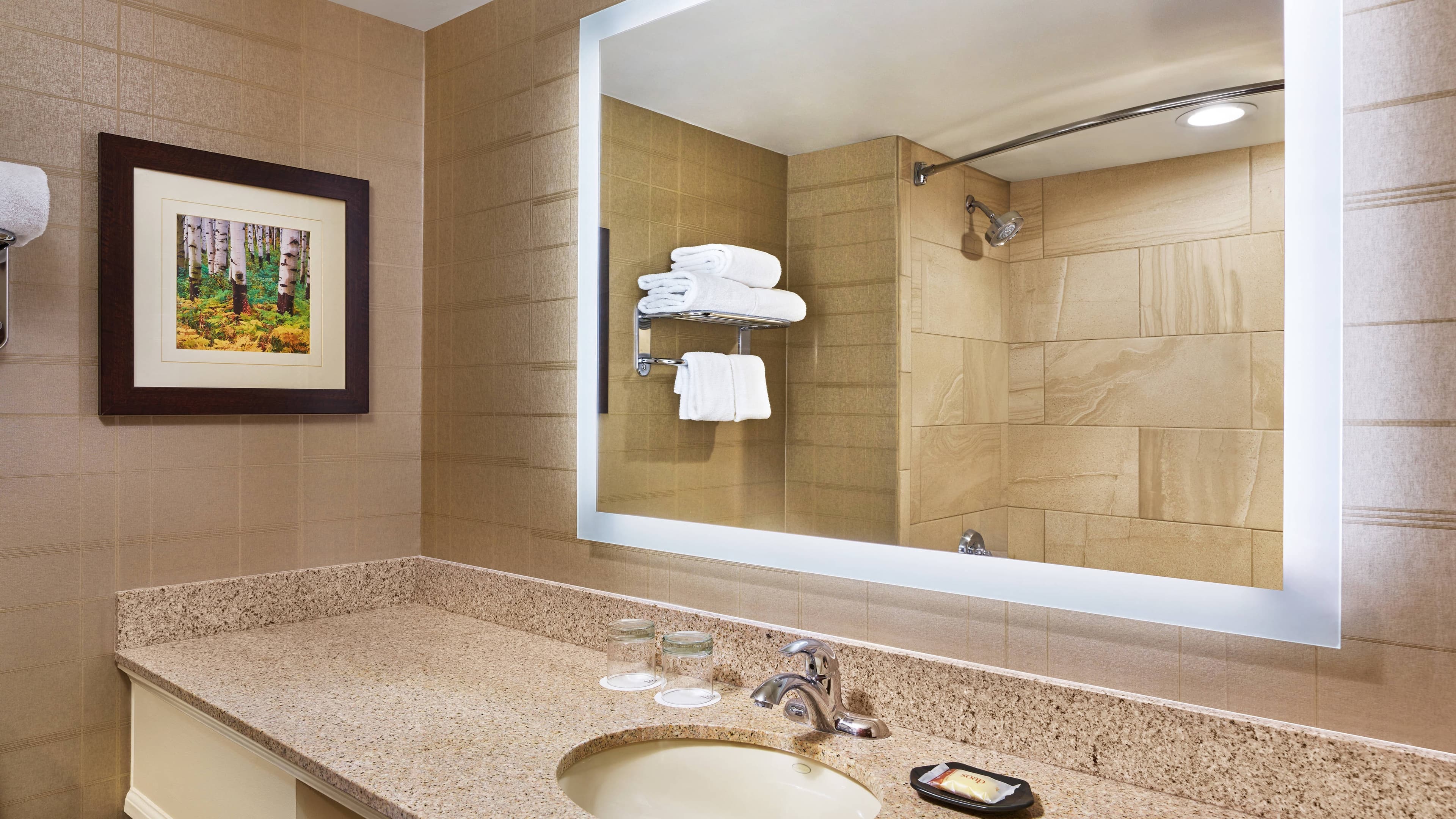 Sheraton Denver West Hotel - Image 3