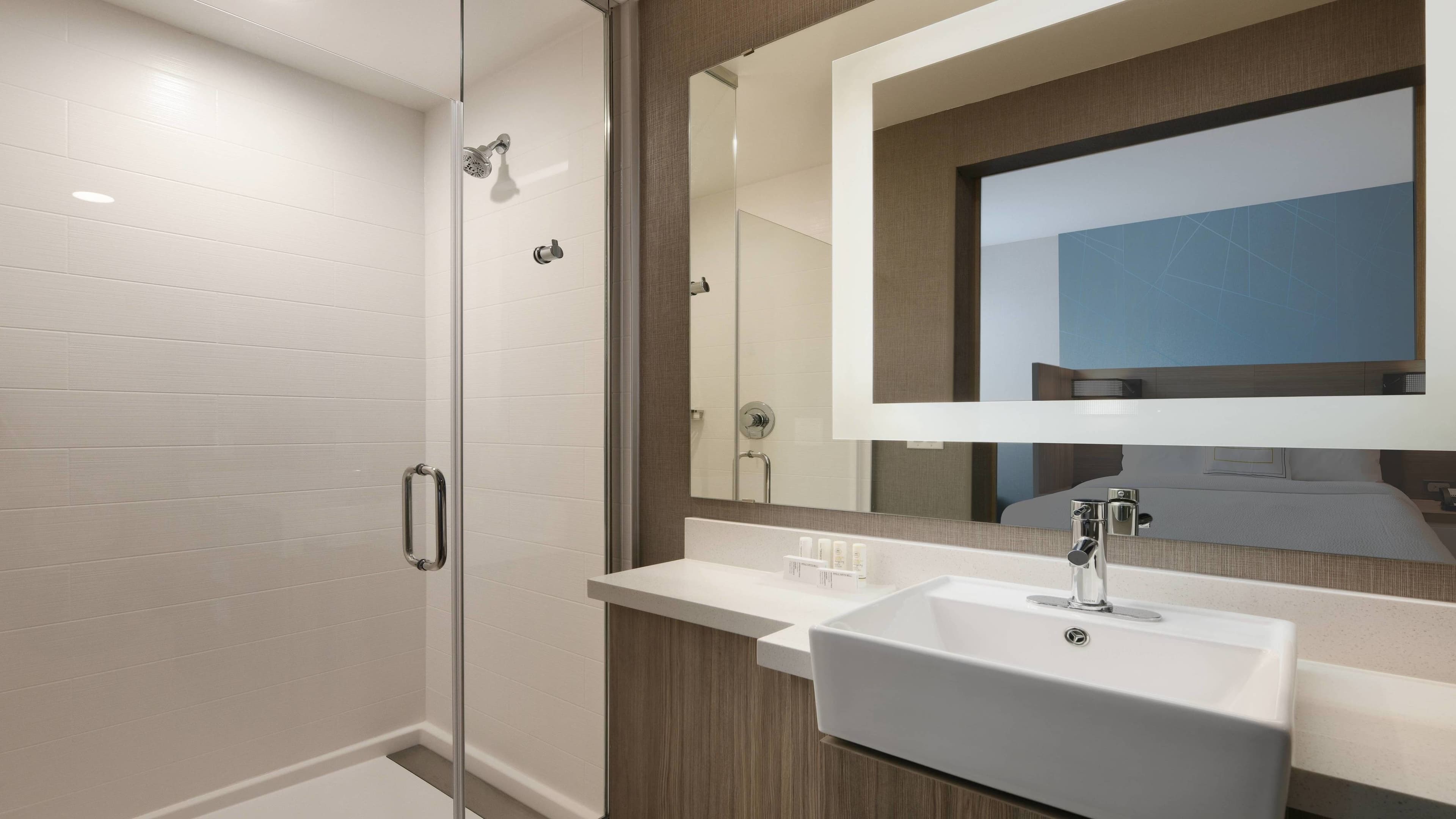 SpringHill Suites Dallas DFW Airport South/CentrePort — 5