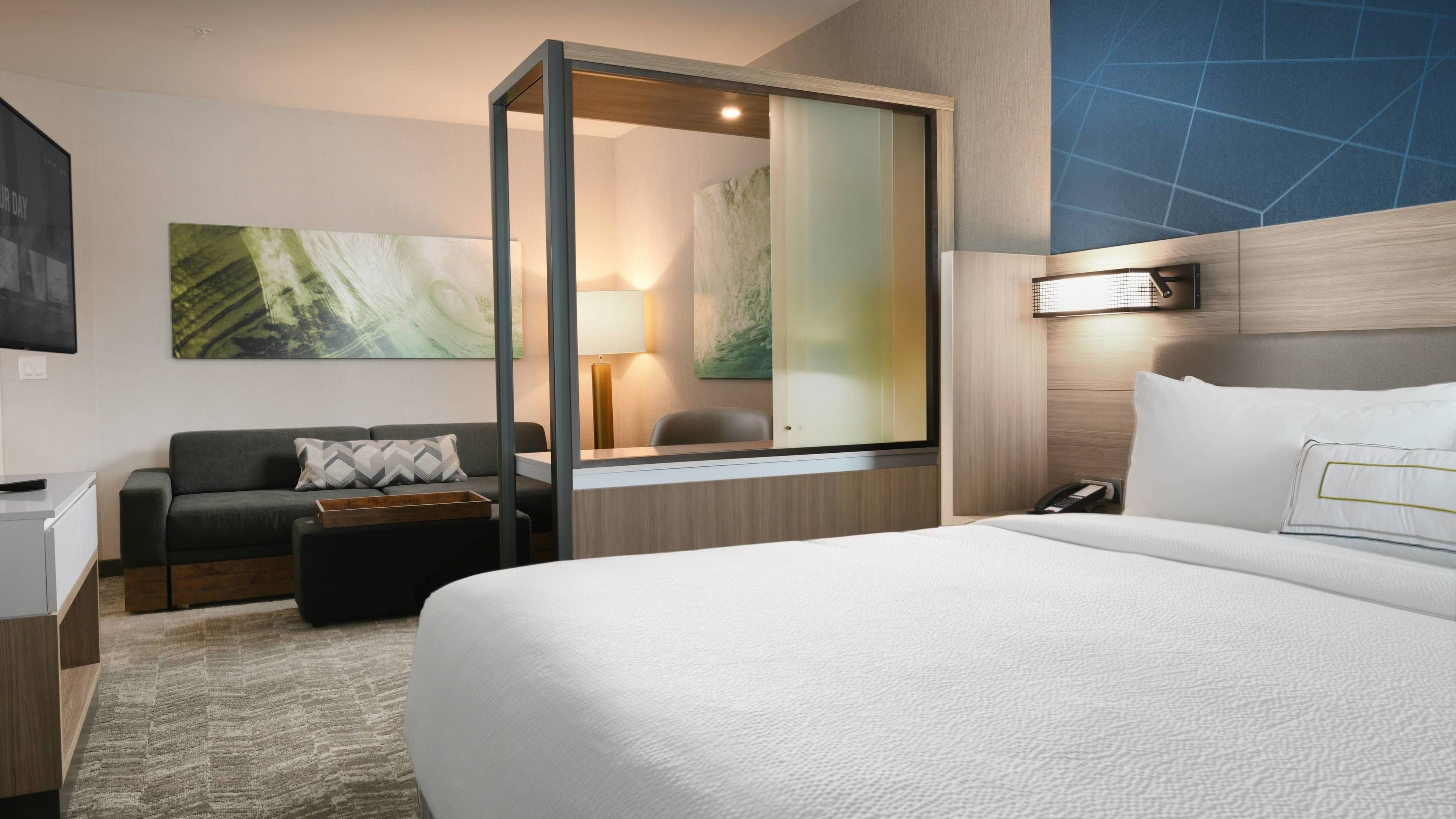 SpringHill Suites Dallas DFW Airport South/CentrePort — 2