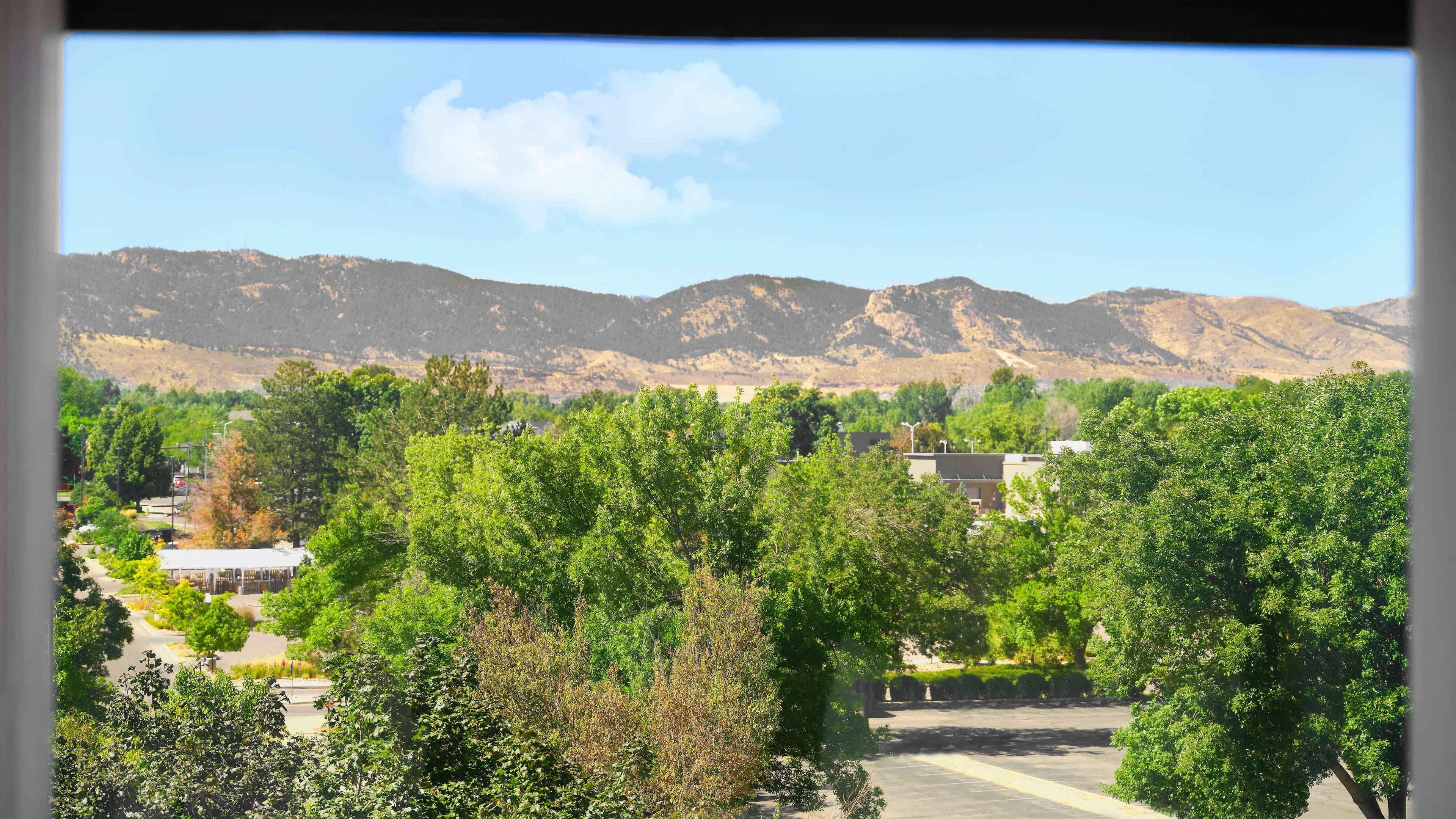 Guest room - Image 5