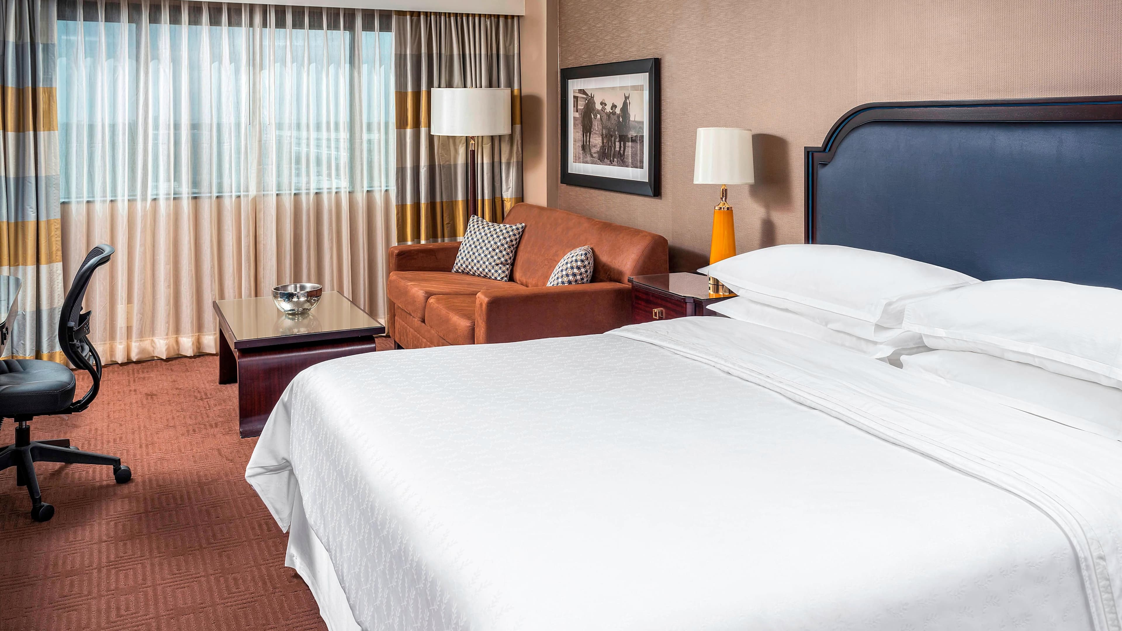 Sheraton North Houston at George Bush Intercontinental — 7