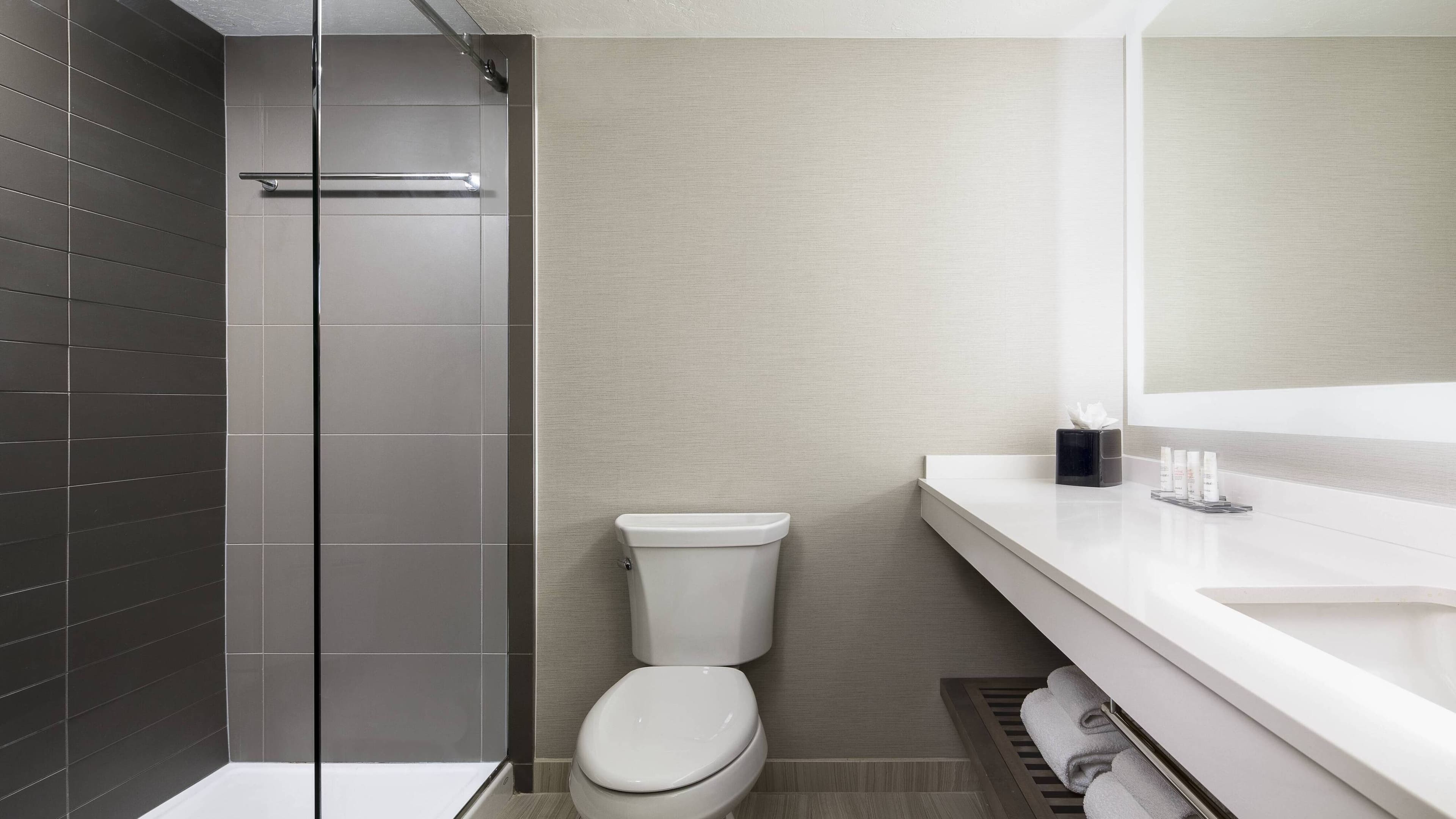 Holiday Inn Houston NE - Bush Airport Area — 16