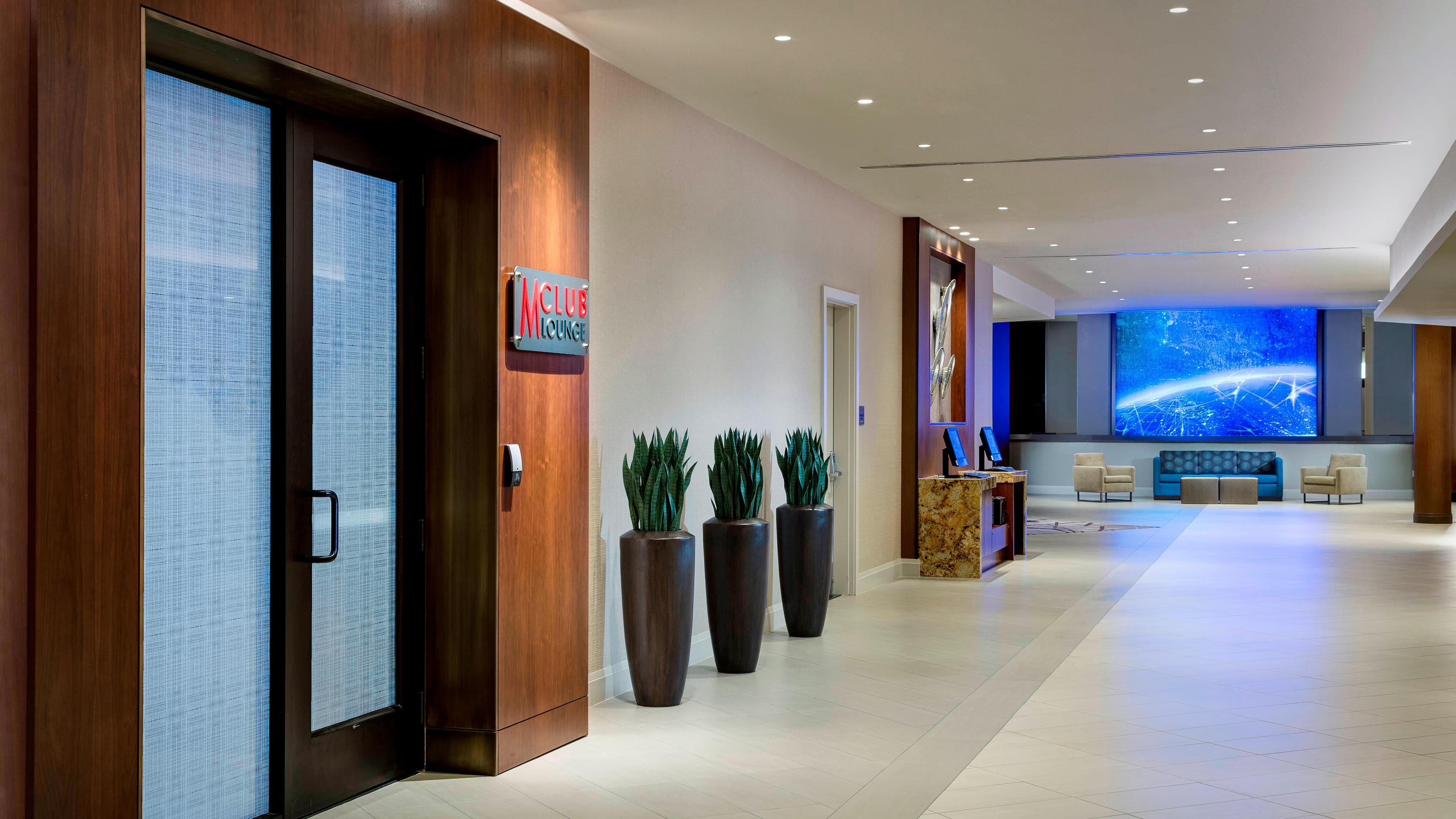 M Club level - Image 7