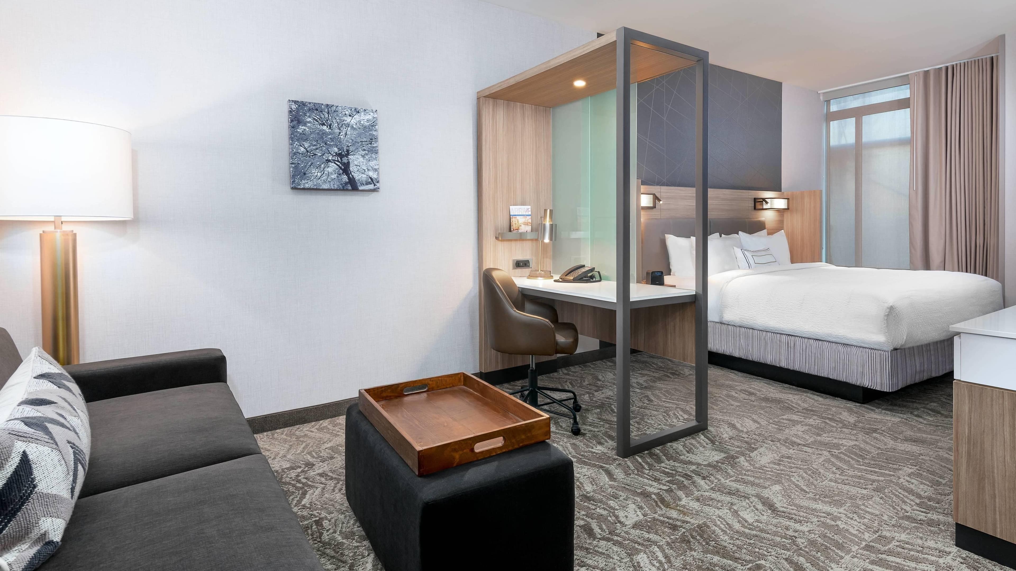 Suite - Image 1