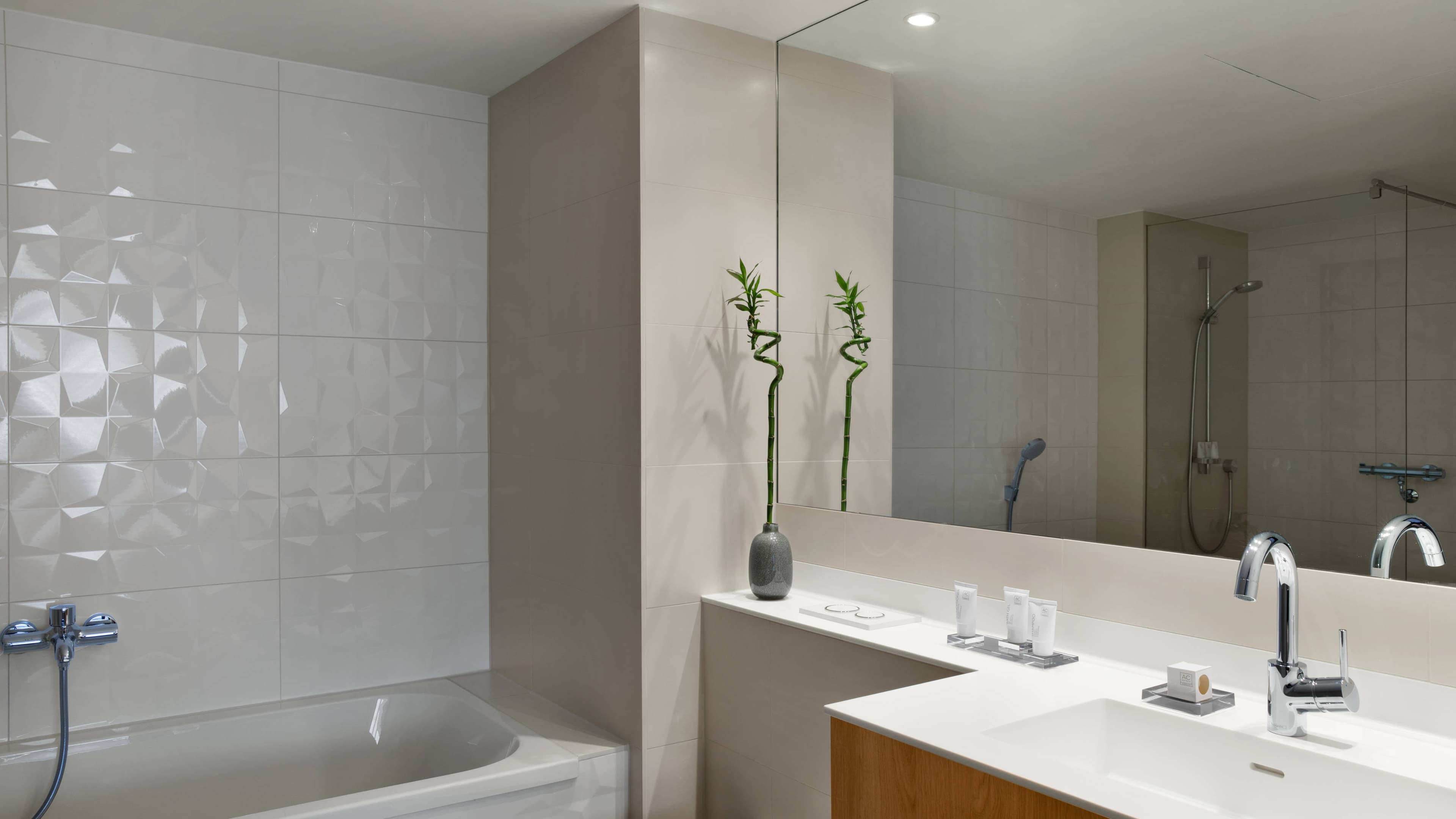 Standard - Image 6