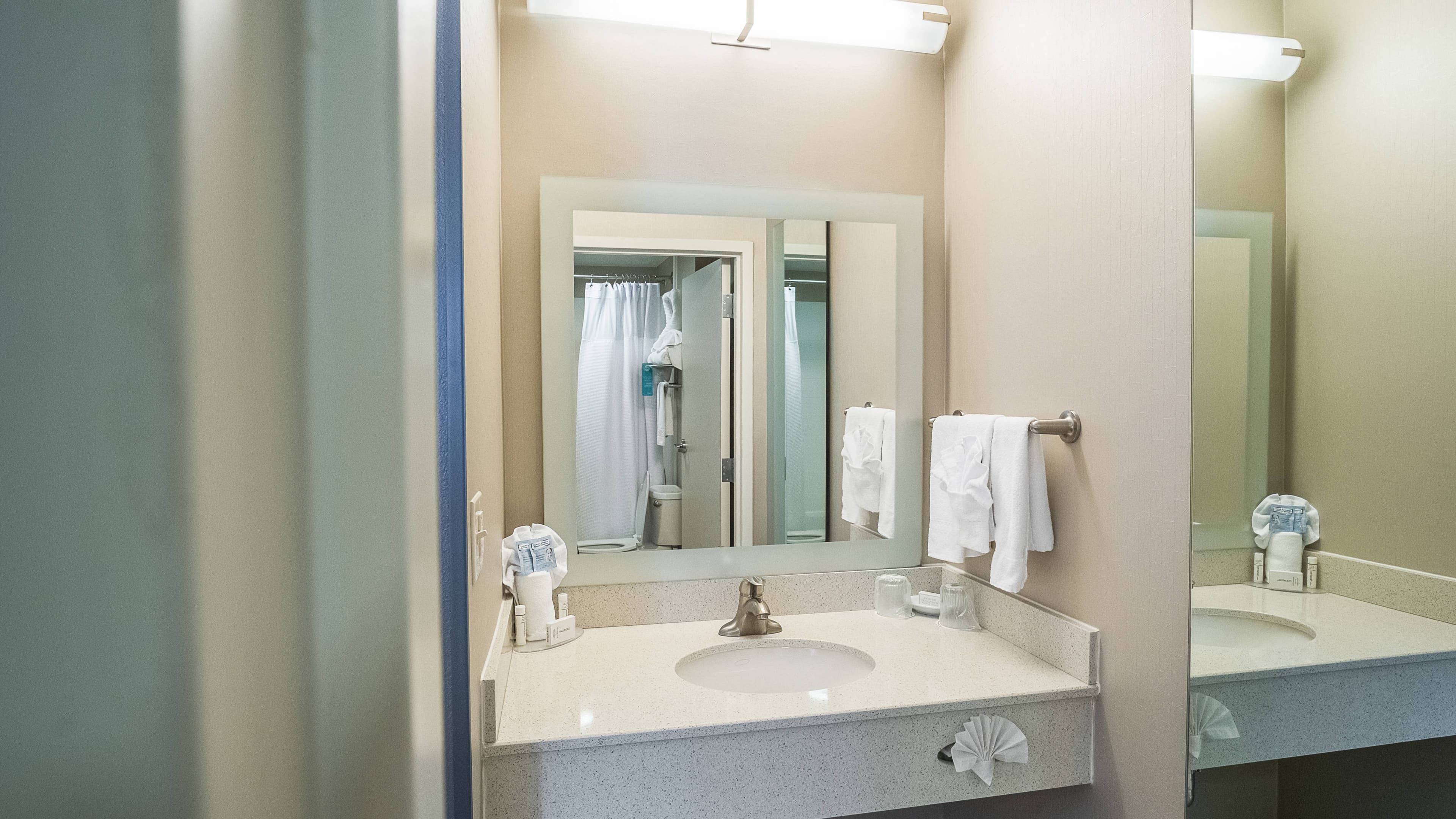 SpringHill Suites Winston-Salem Hanes Mall — 9