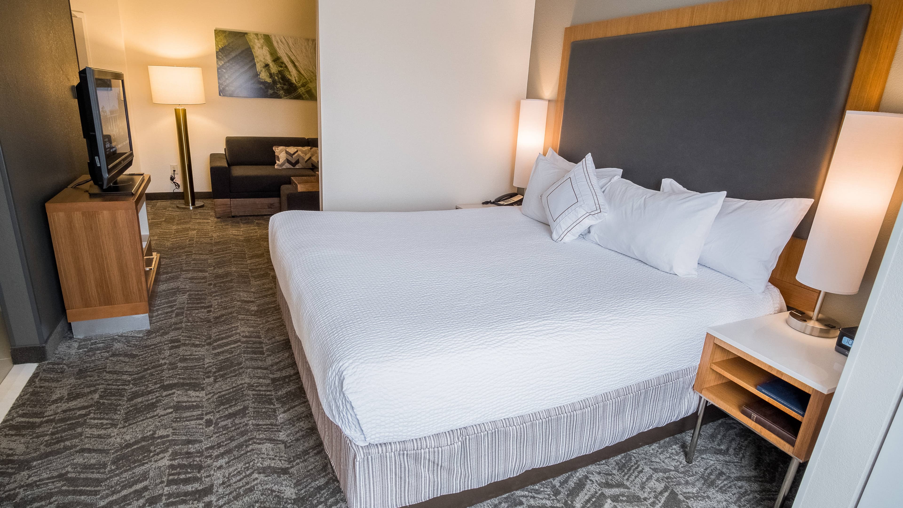 SpringHill Suites Winston-Salem Hanes Mall — 6
