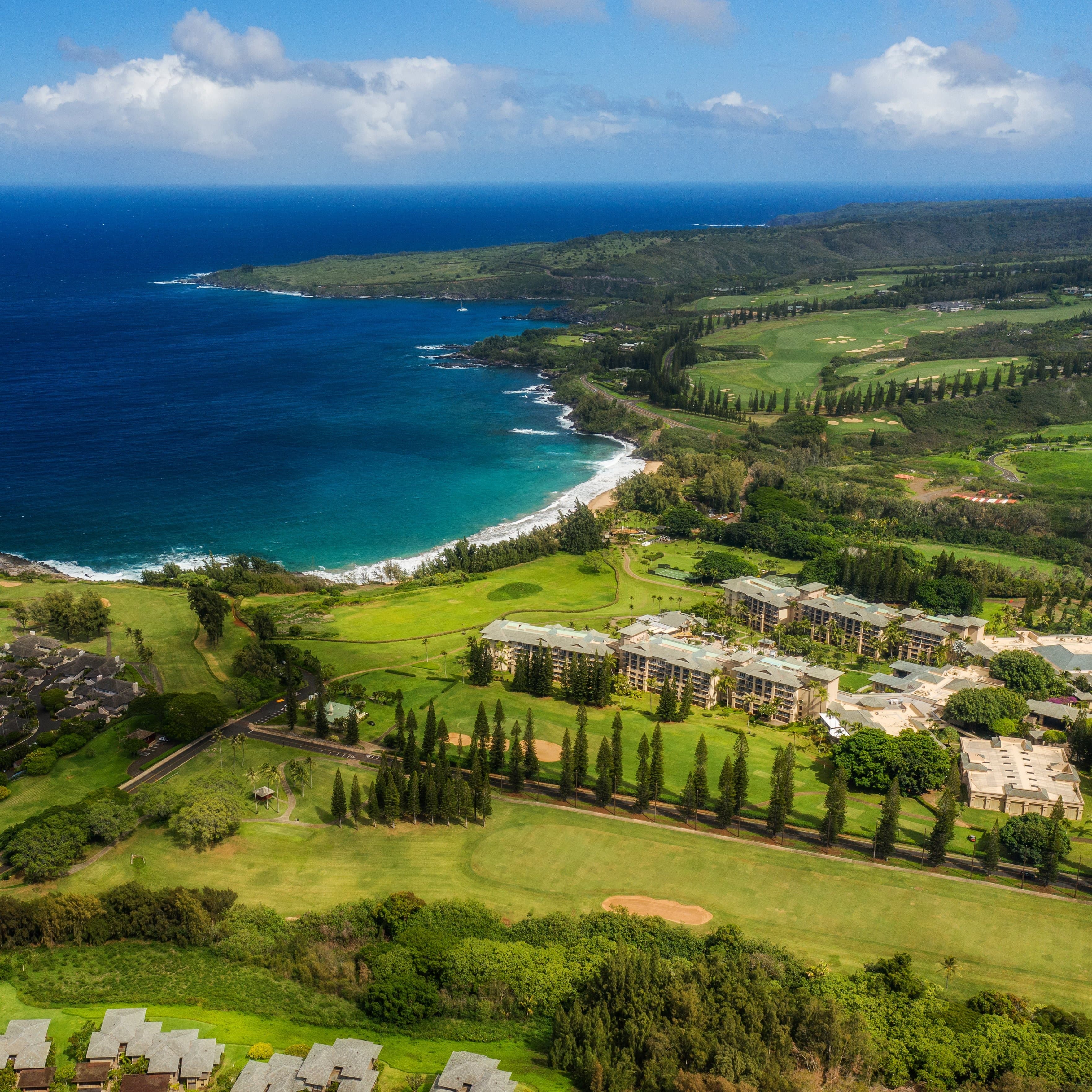 The Ritz-Carlton Maui, Kapalua - Image 1