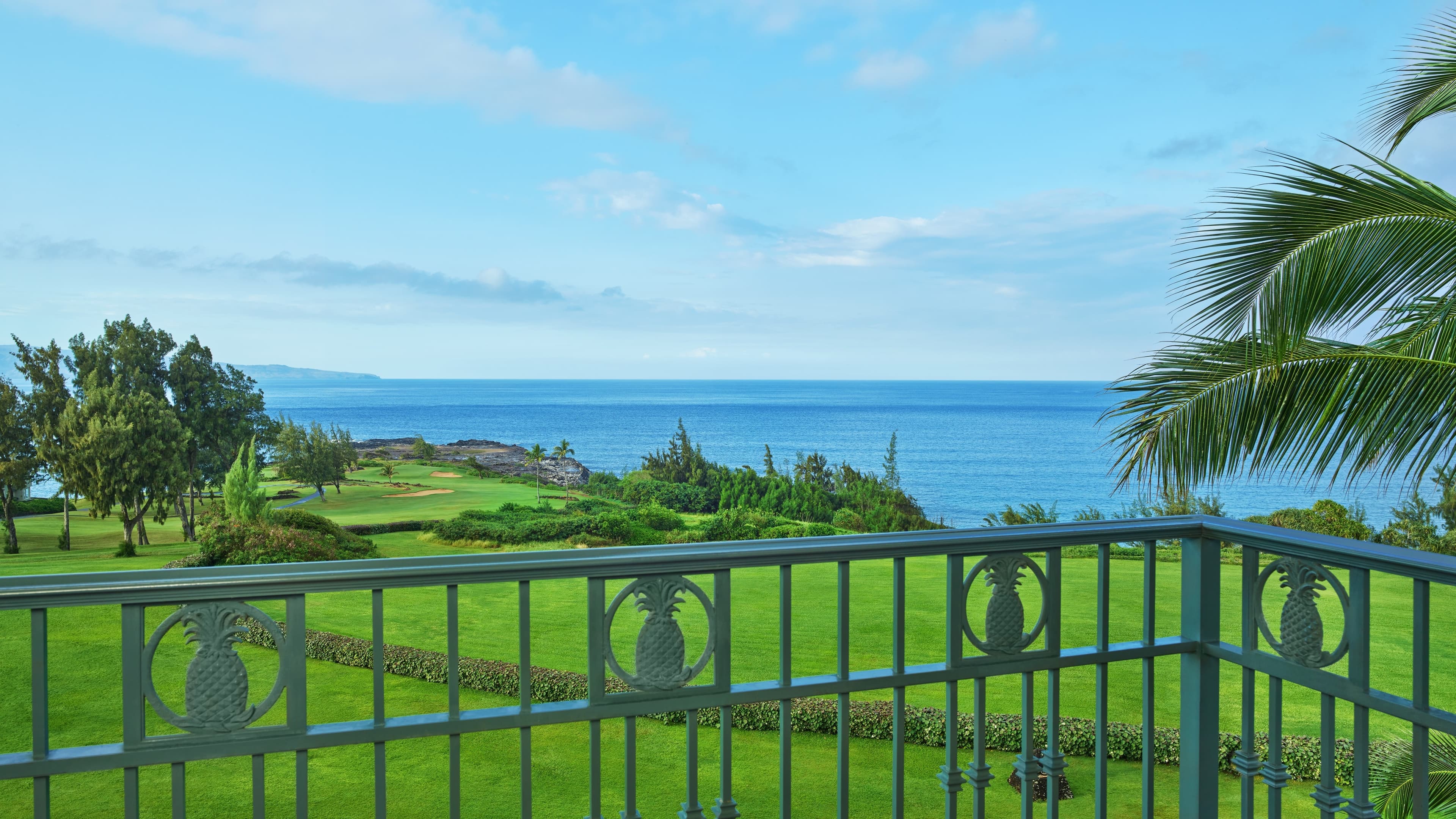 The Ritz-Carlton Maui, Kapalua — 120