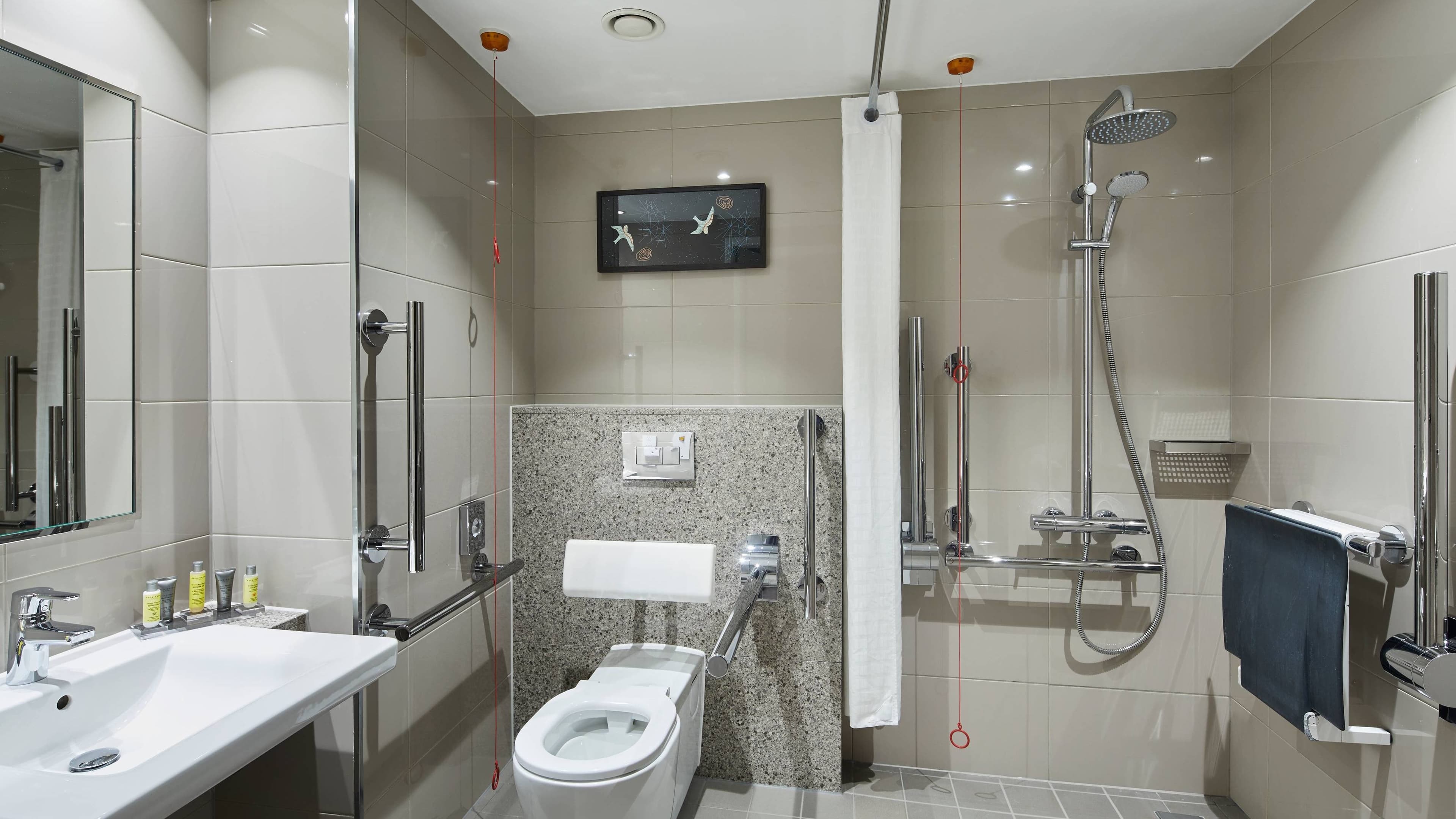 Deluxe Room - Image 6