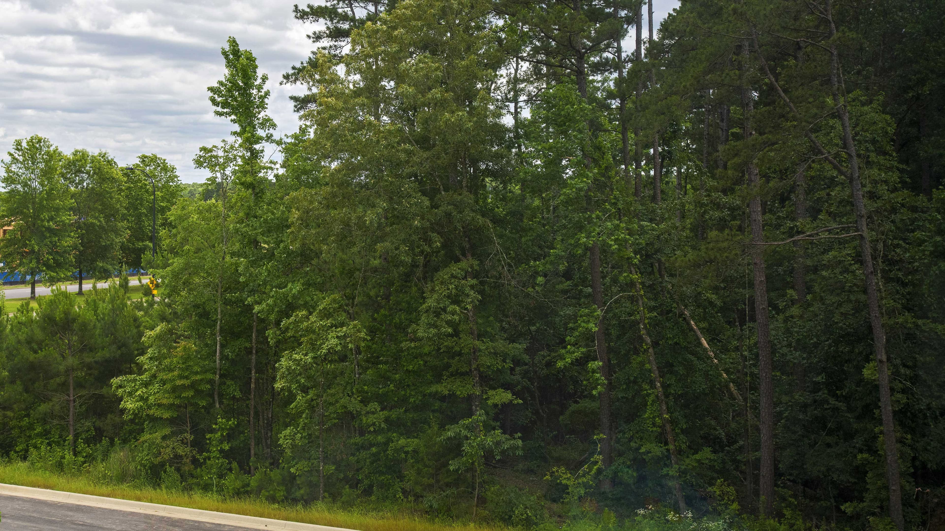 Aloft - Image 6