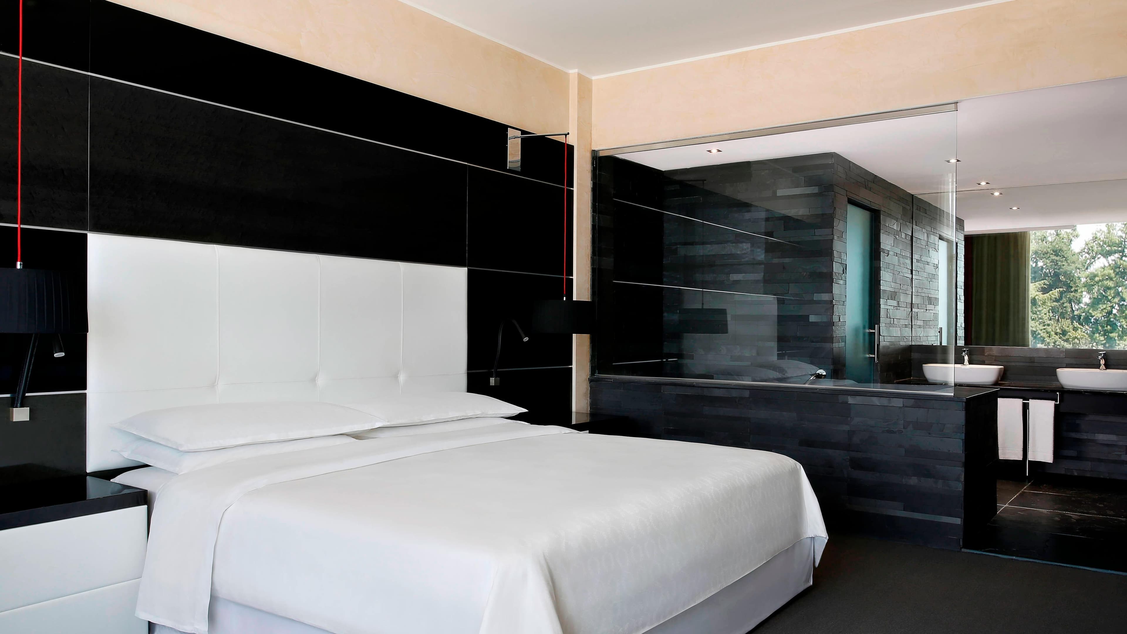 Sheraton Milan Malpensa Airport Hotel & Conference Centre — 46