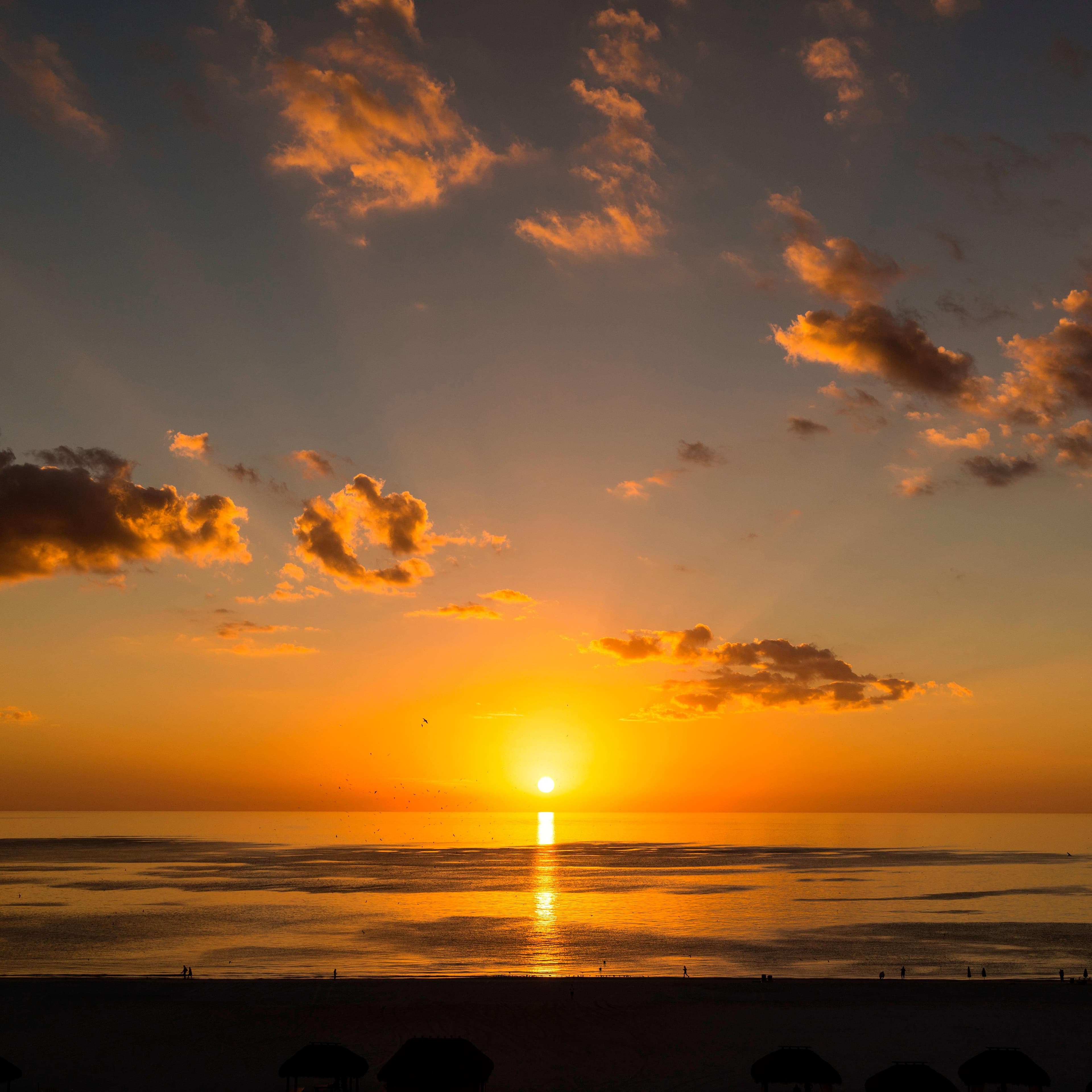 JW Marriott Marco Island Beach Resort - Image 1
