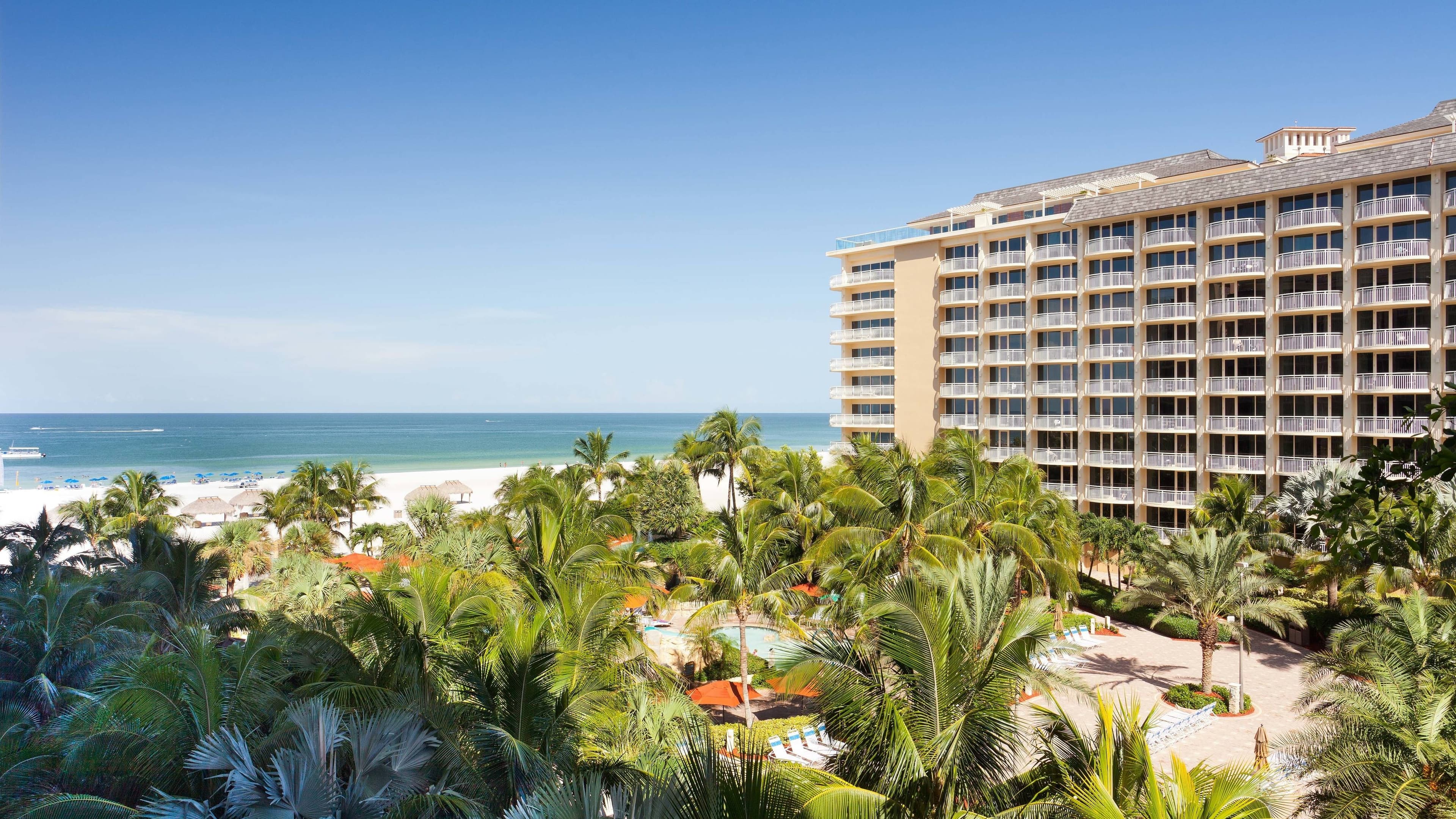 Tropical View - Image 2