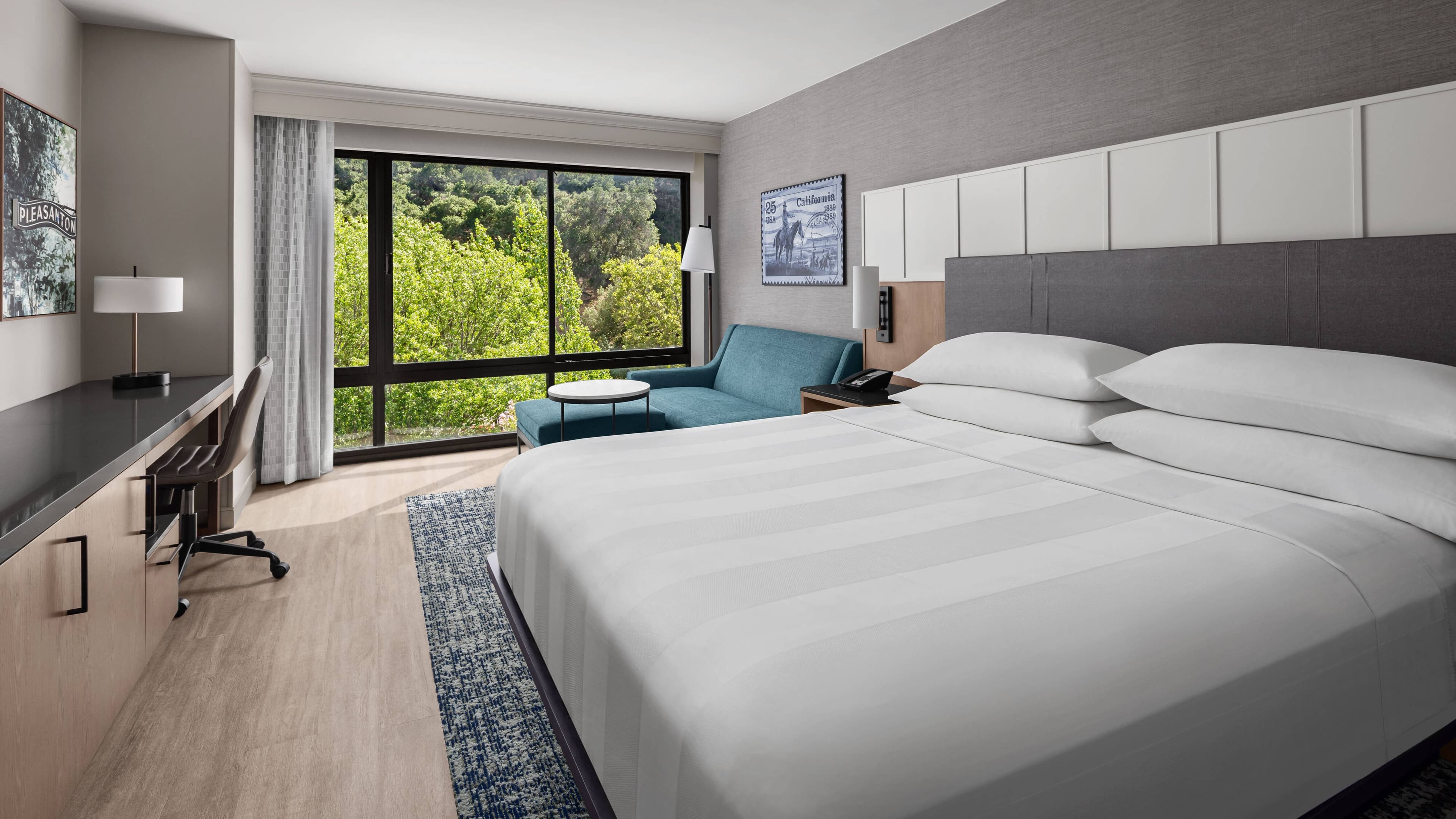 Pleasanton Marriott — 9