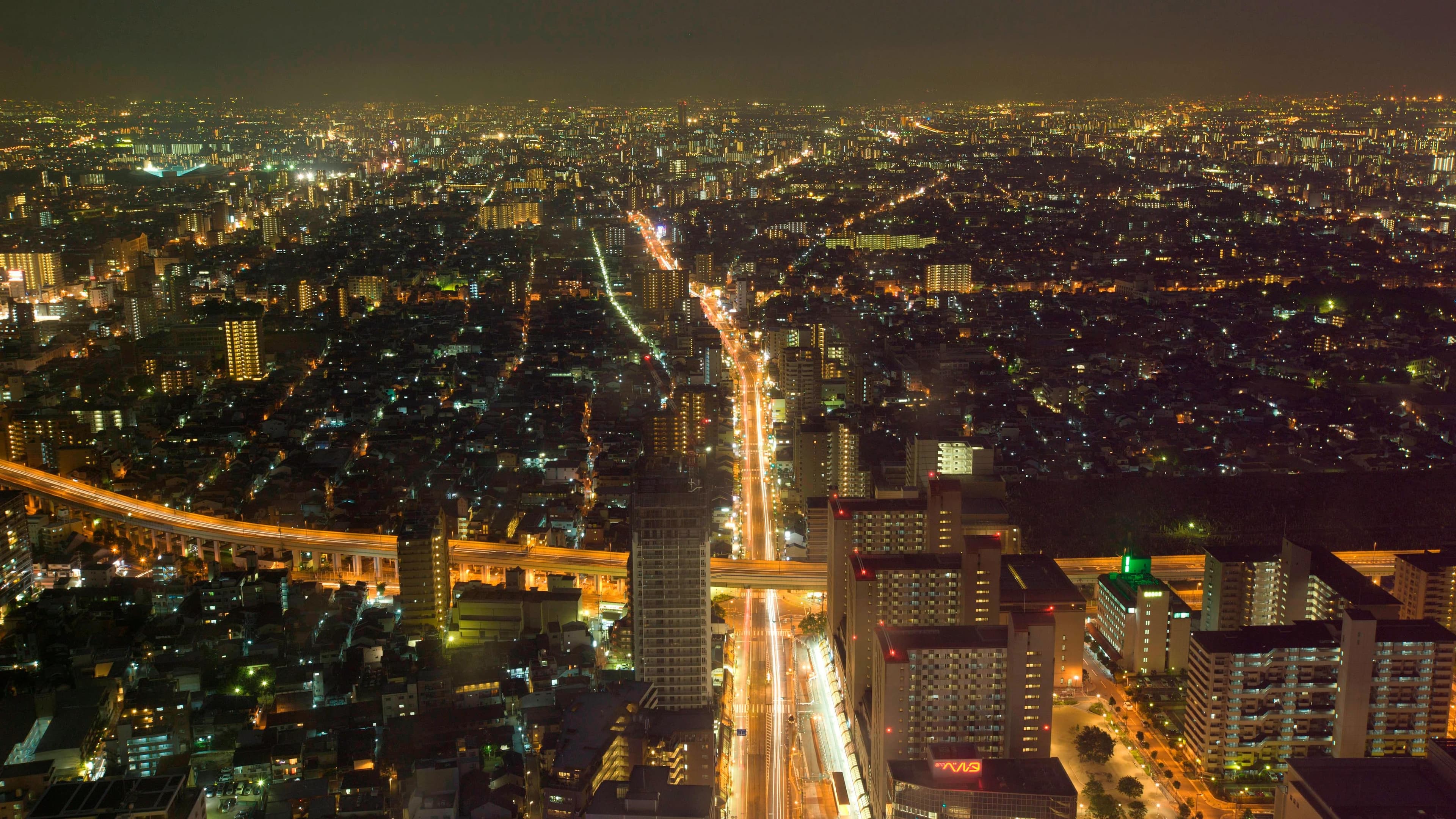Osaka Marriott Miyako Hotel - Image 3