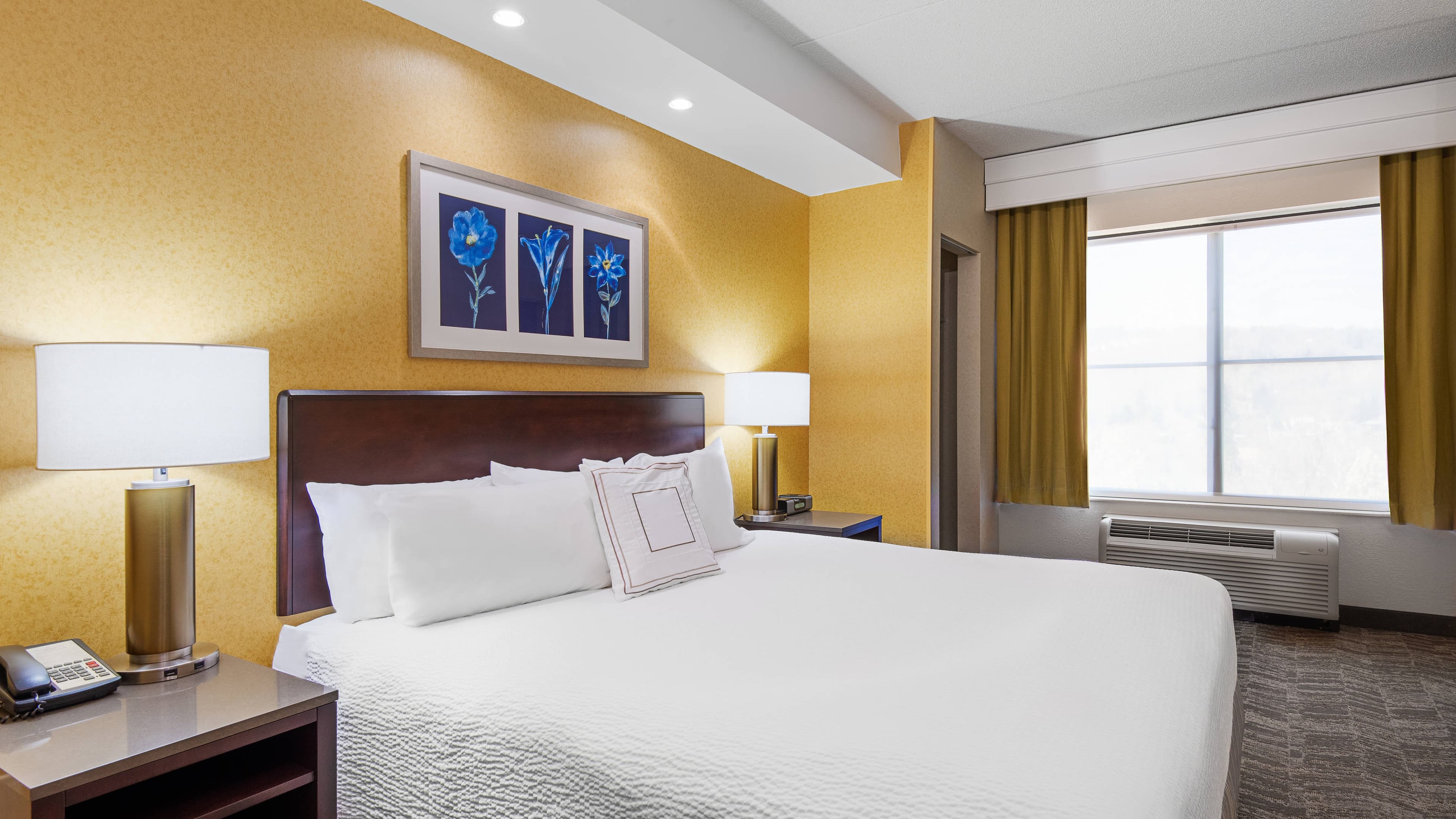 Suite - Image 1