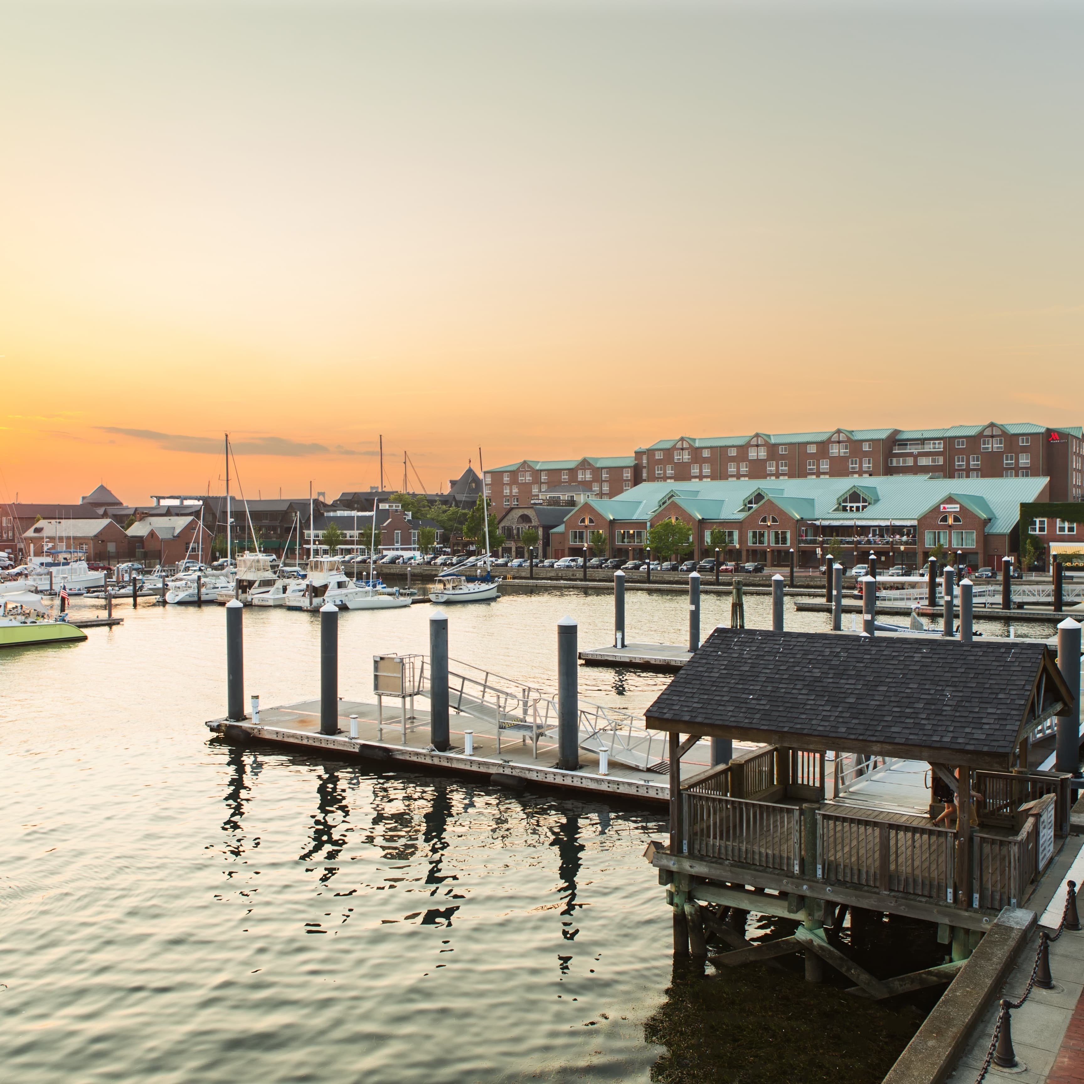 Newport Marriott Hotel & Spa - Image 1