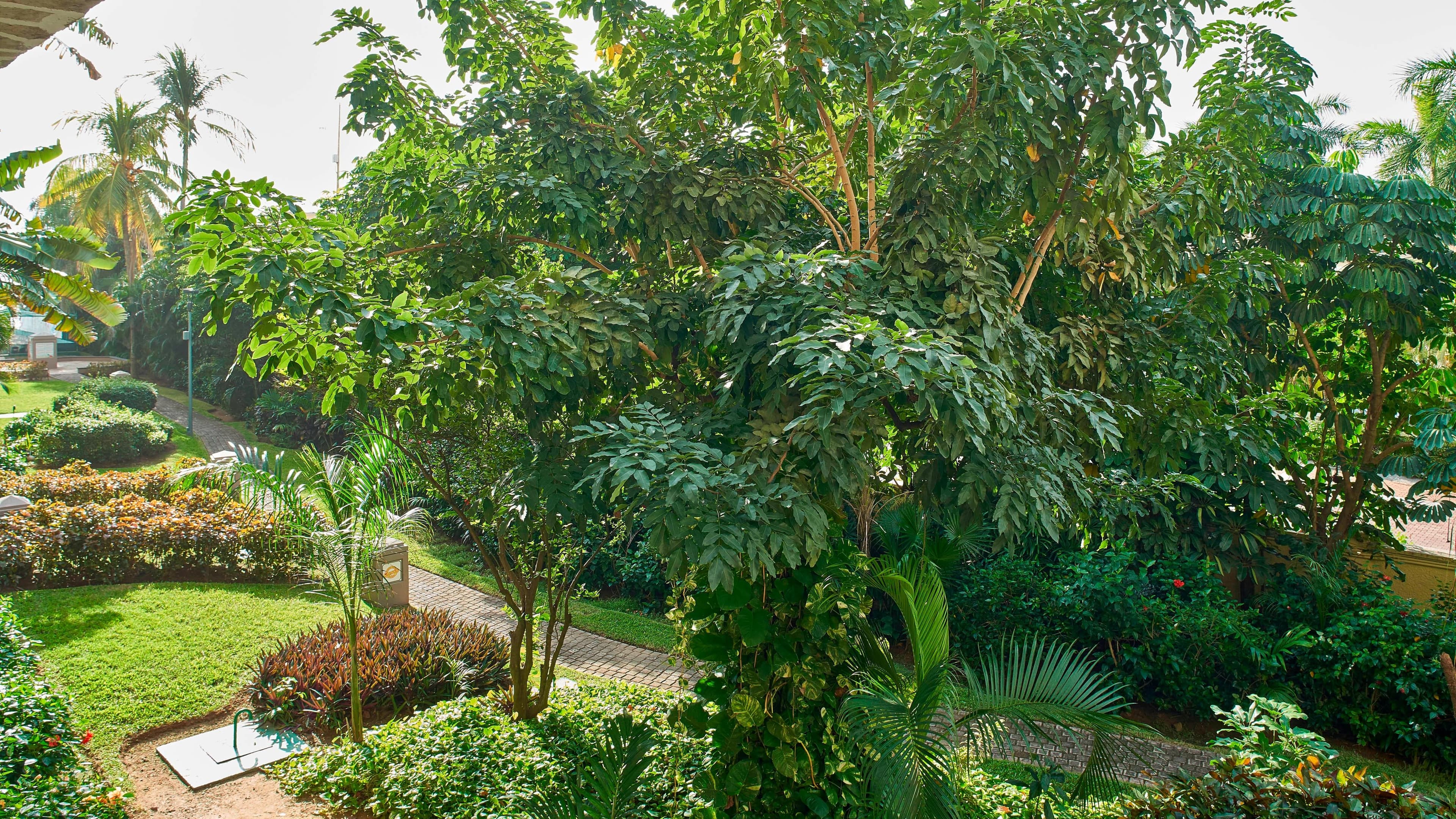 Garden View - Image 2