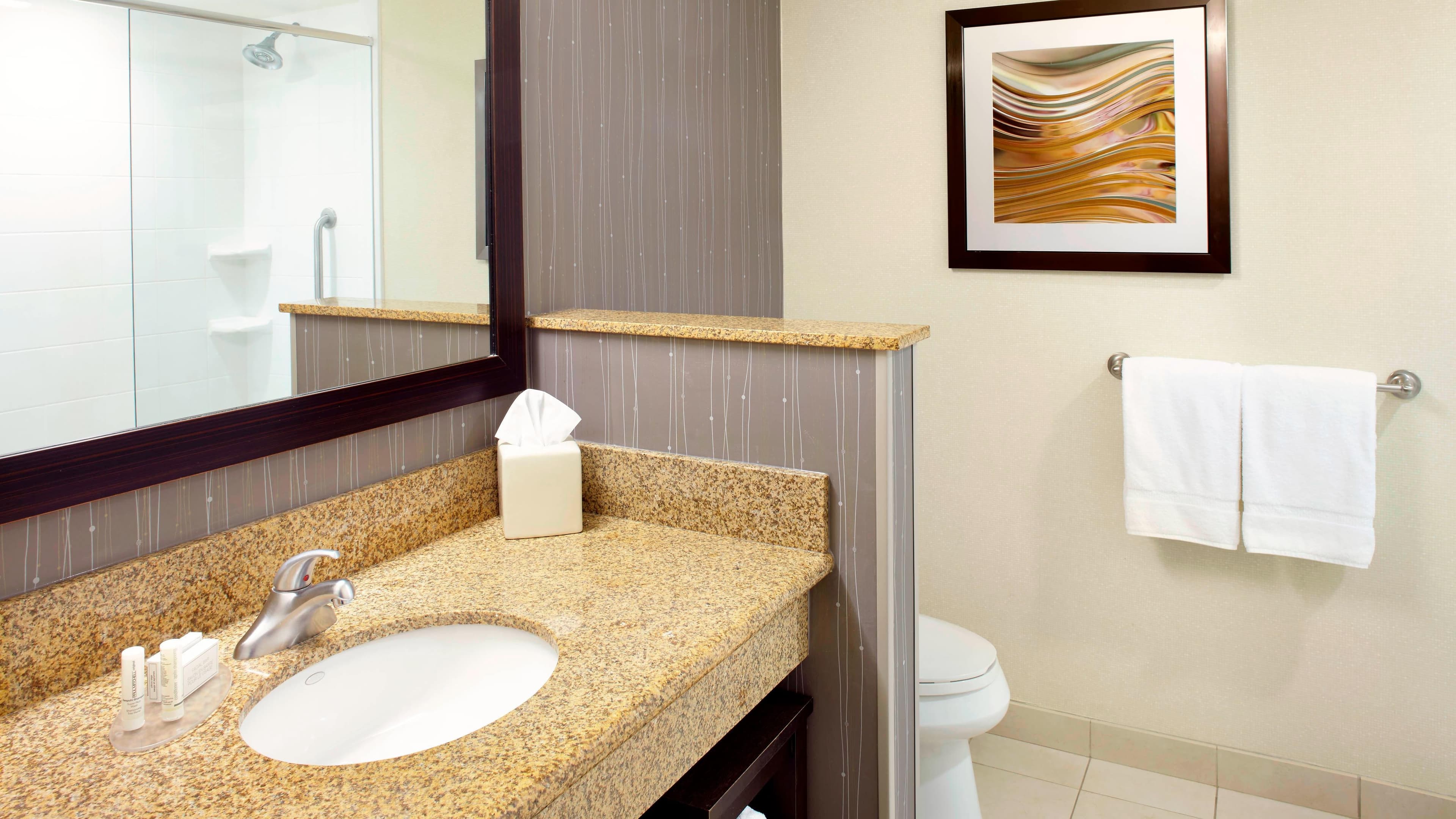 Holiday Inn Express & Suites Wyomissing — 19