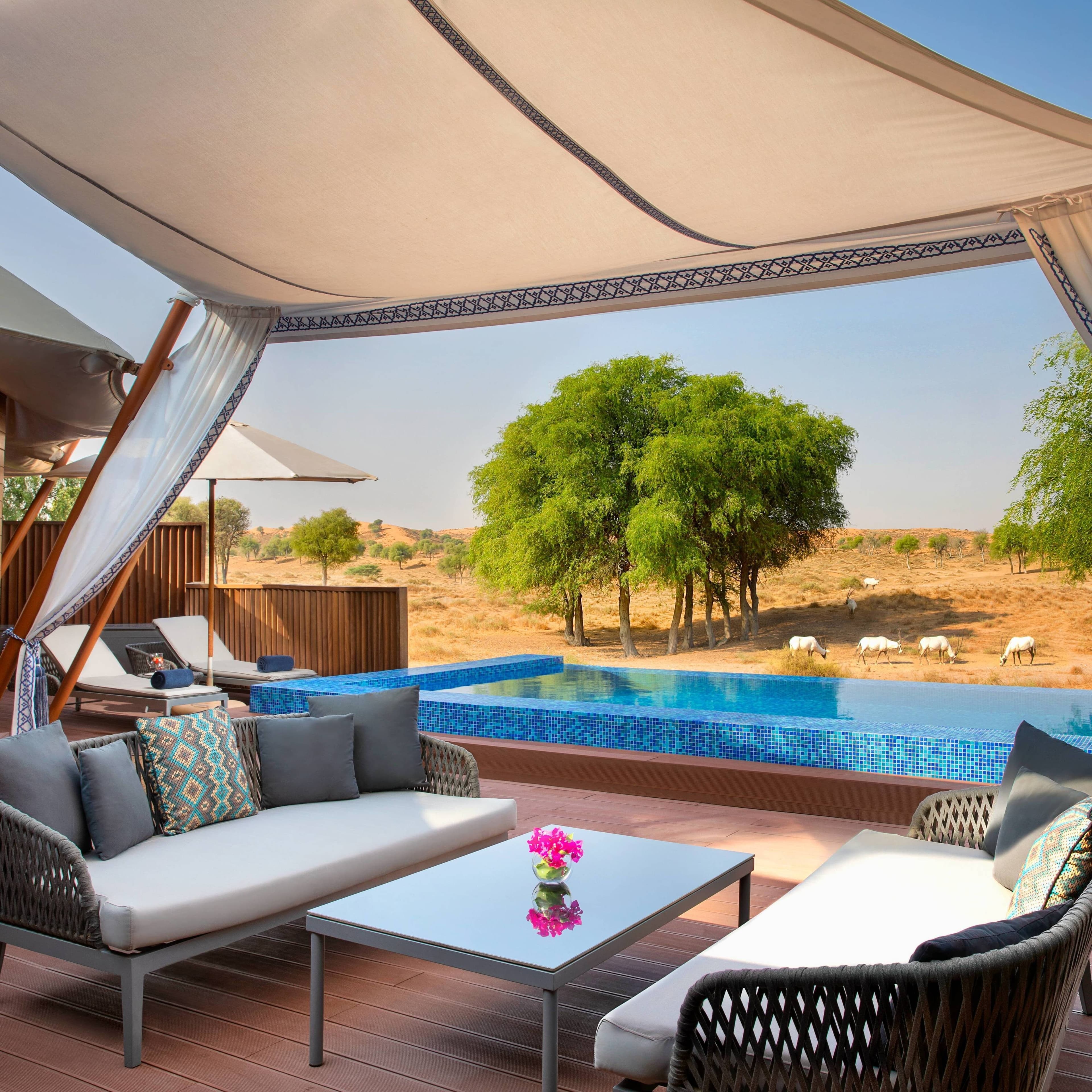 The Ritz-Carlton Ras Al Khaimah, Al Wadi Desert - Image 1
