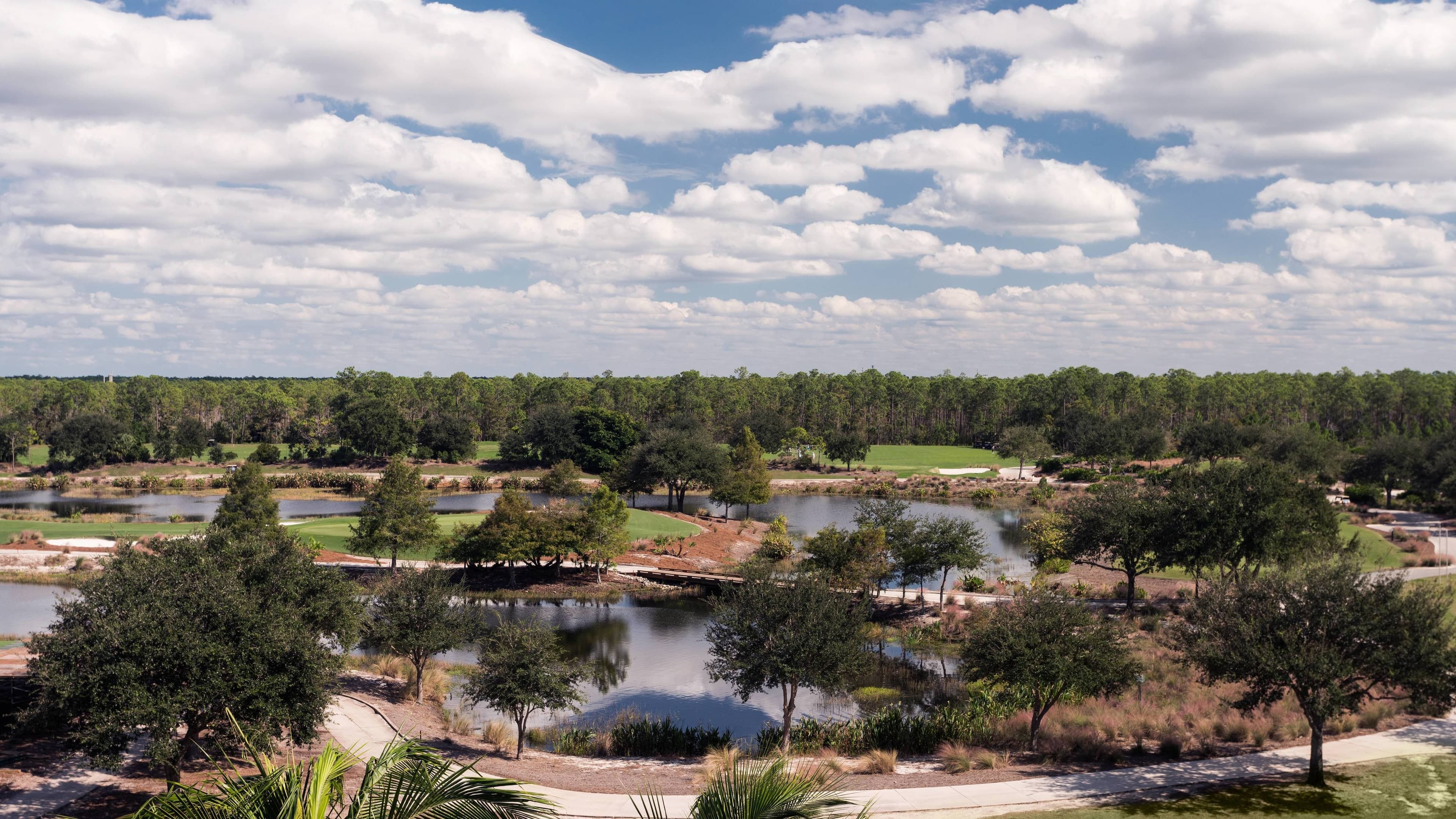The Ritz-Carlton Naples, Tiburón — 16