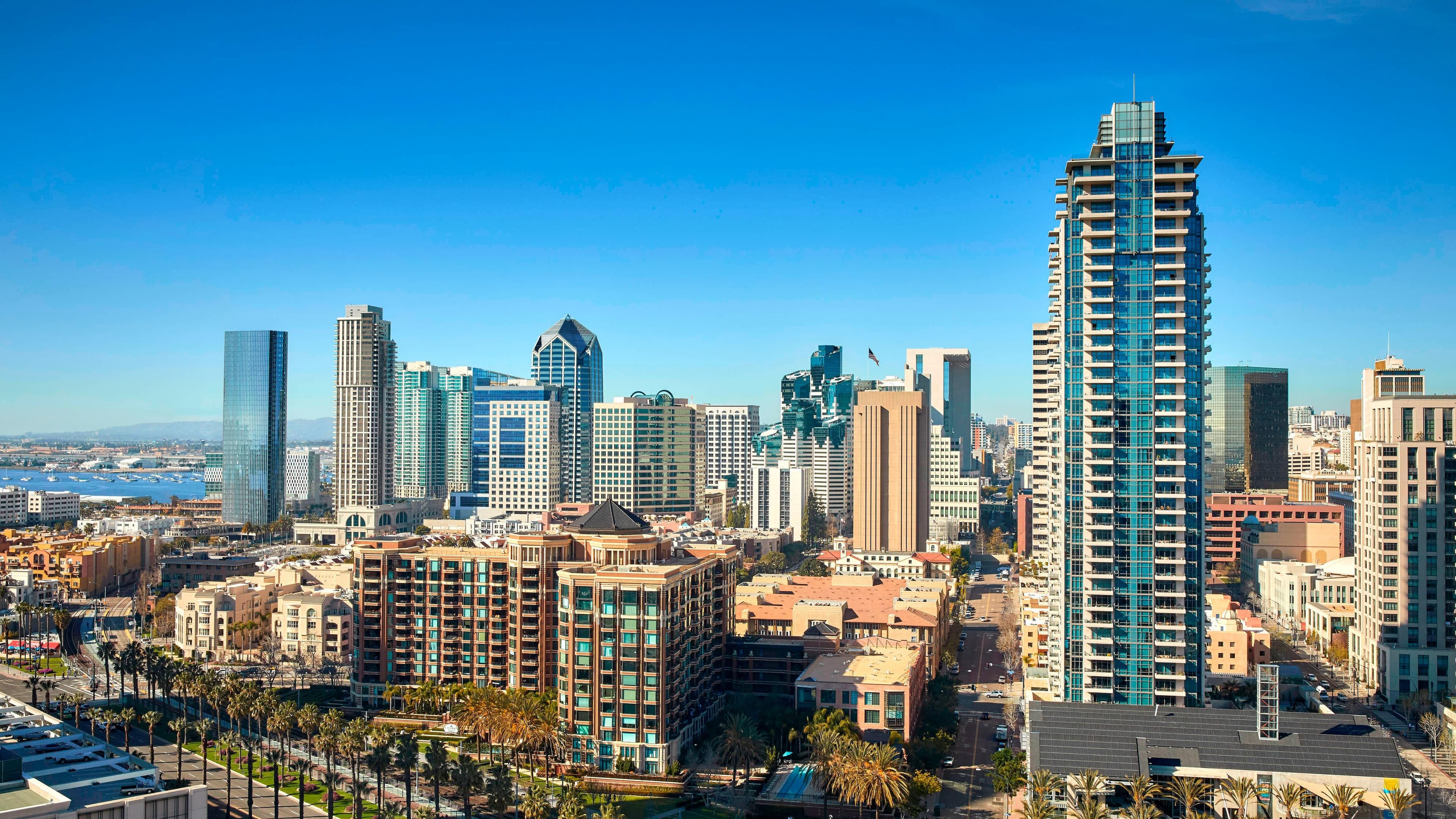 City View King - Image 2