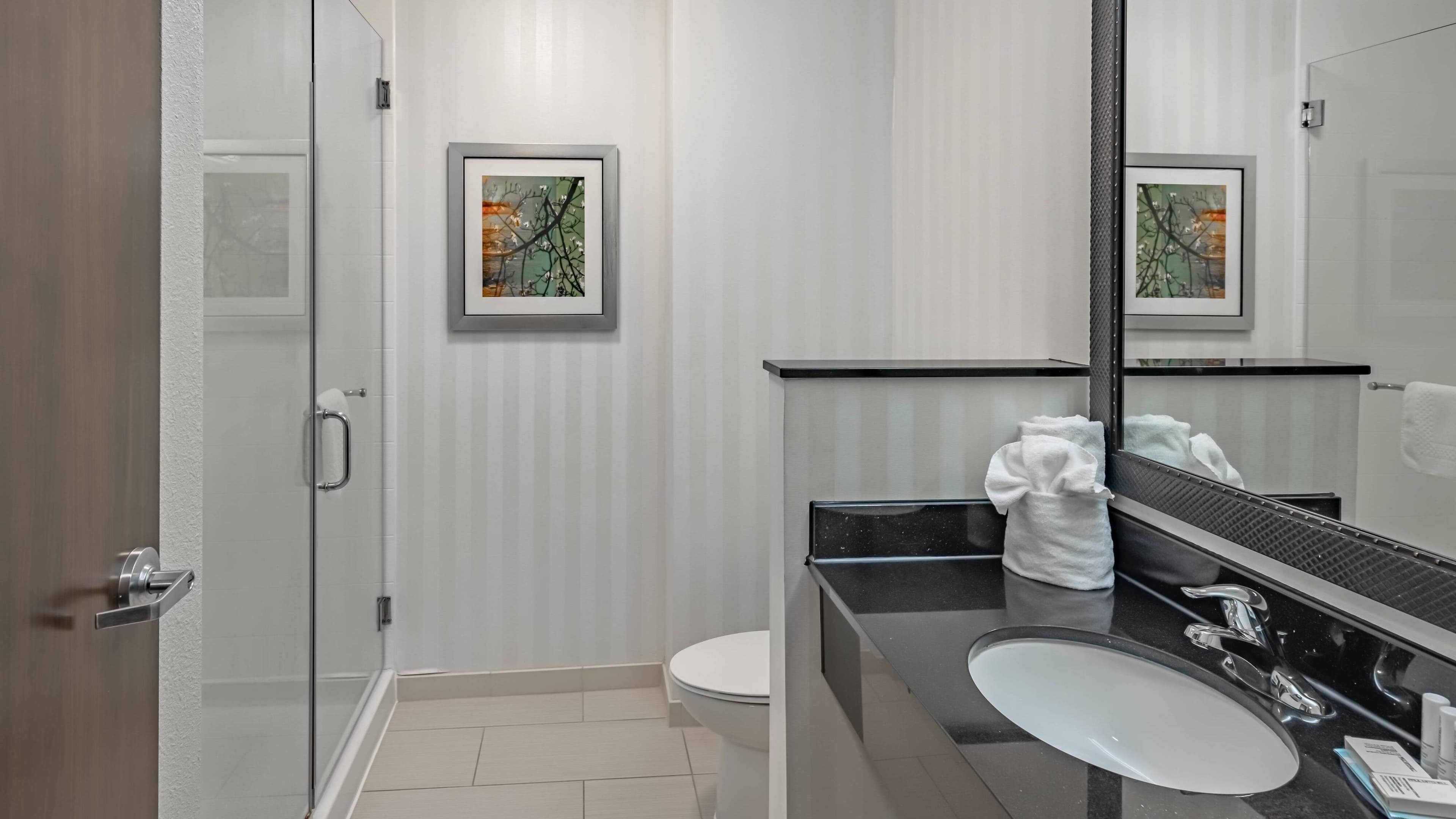Holiday Inn Express & Suites New Braunfels — 8