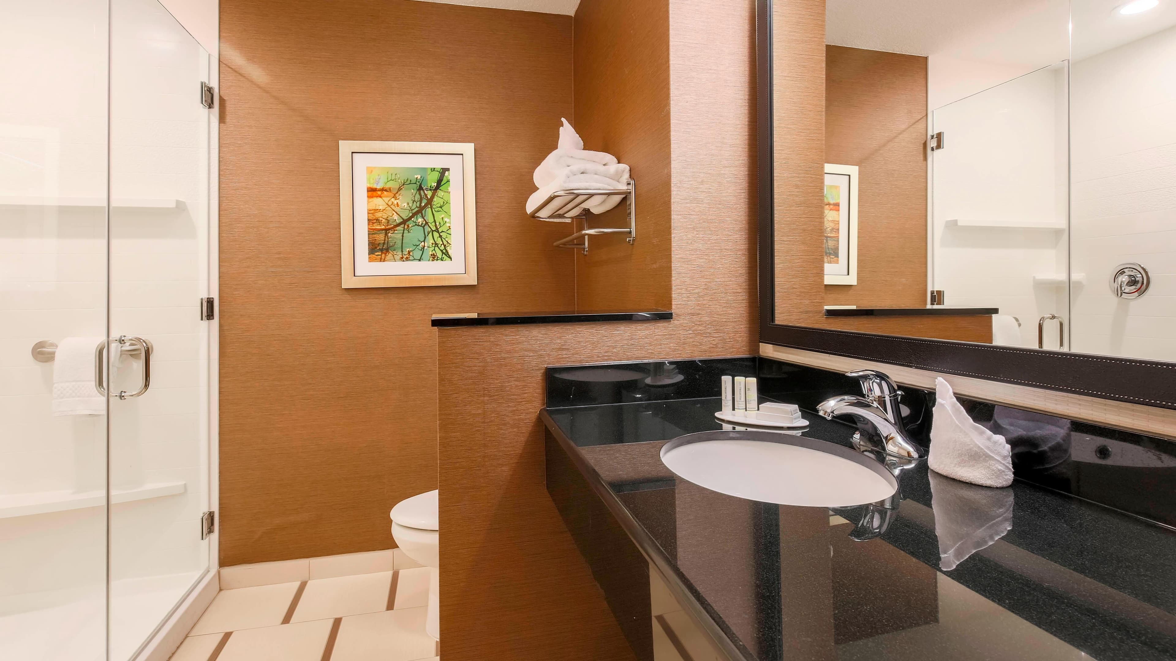 Holiday Inn Express & Suites Pearsall — 5
