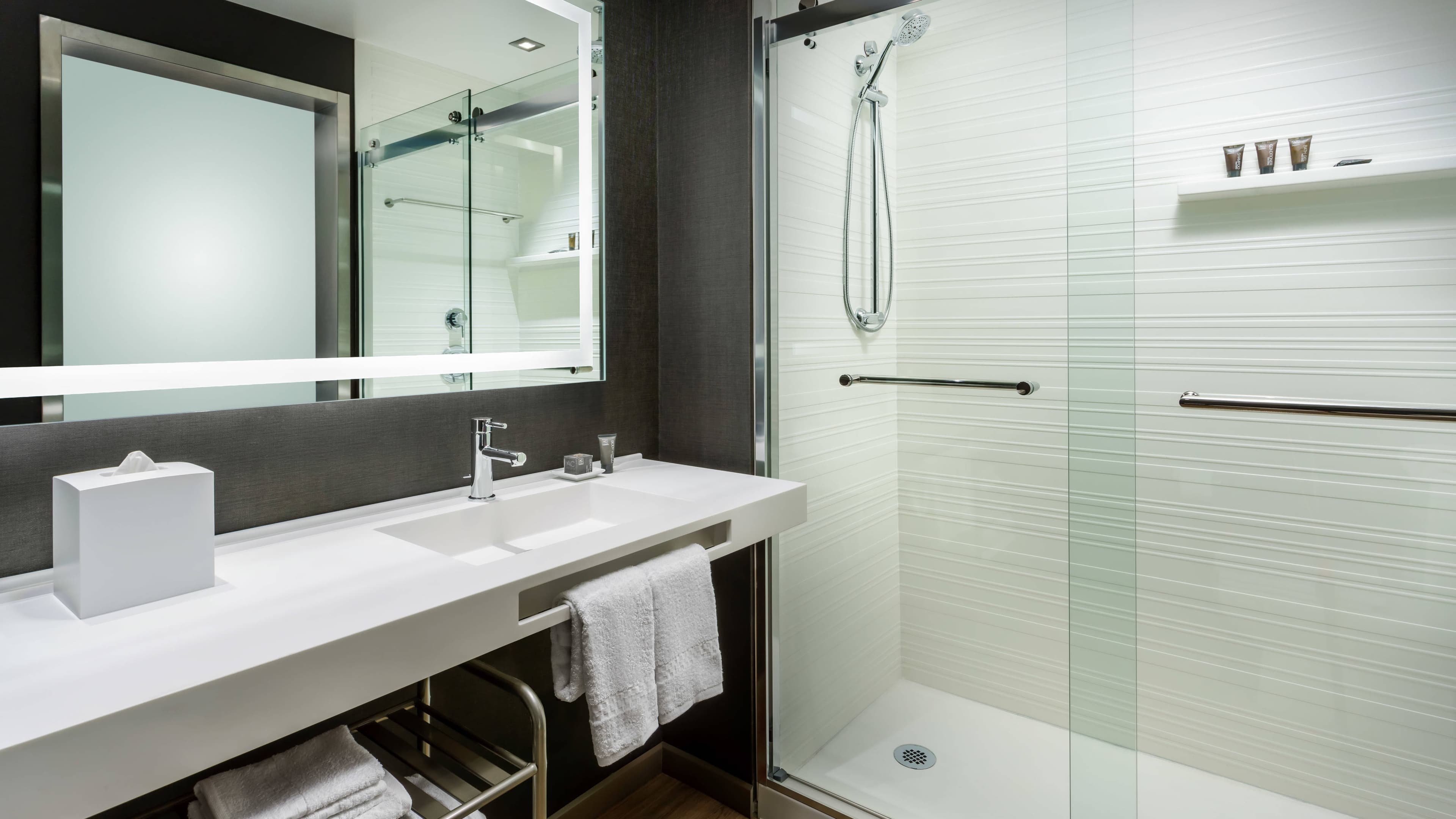 AC Hotel San Francisco Airport/Oyster Point Waterfront - Image 4