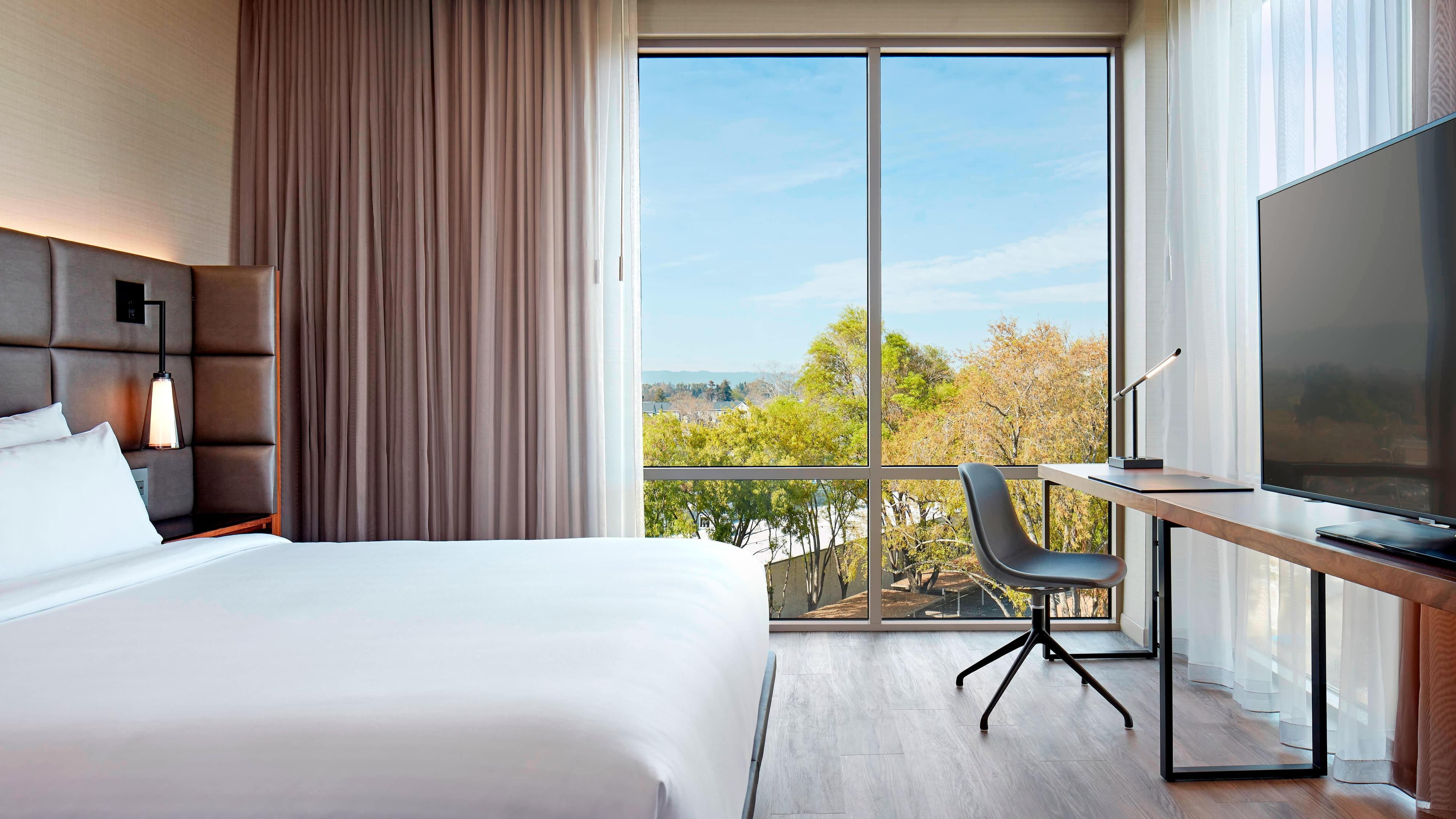 Deluxe Guest room - Image 1