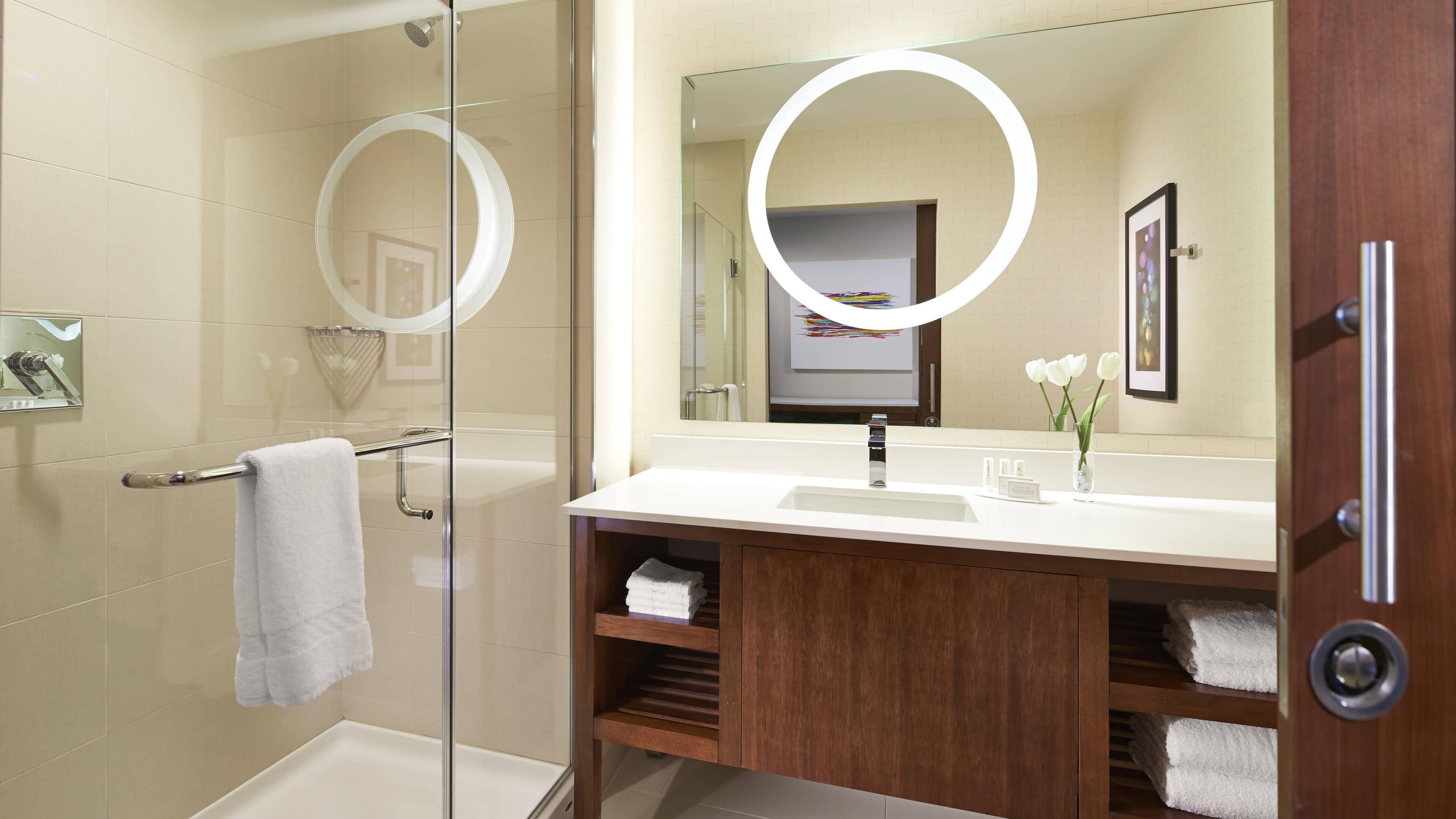 Studio Suite - Image 5