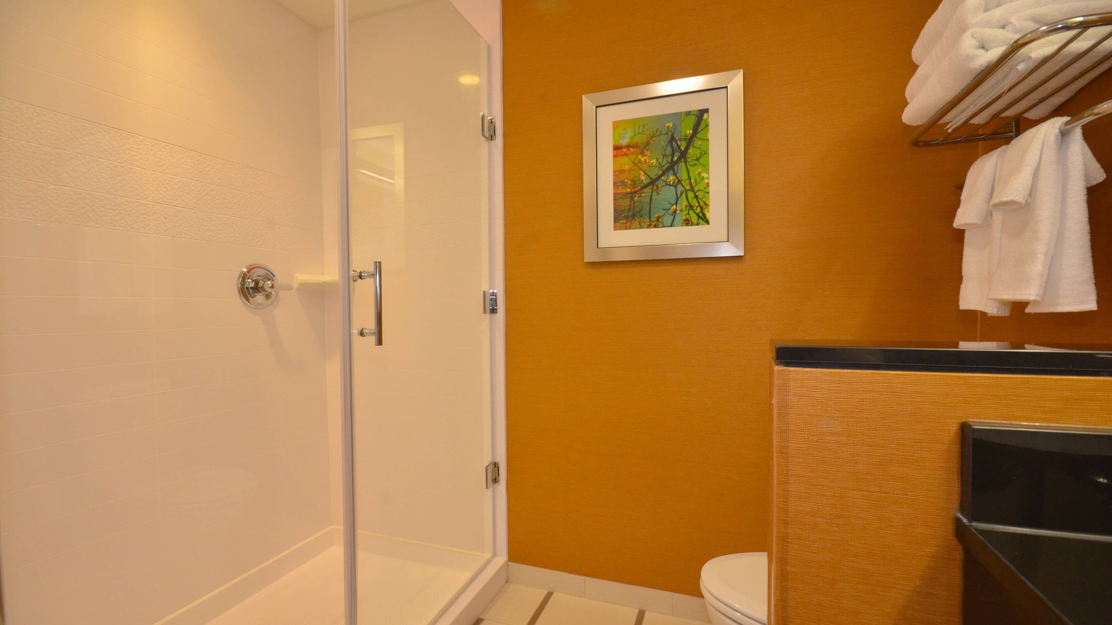 Fairfield Inn & Suites St. Louis Pontoon Beach/Granite City, IL - Image 4