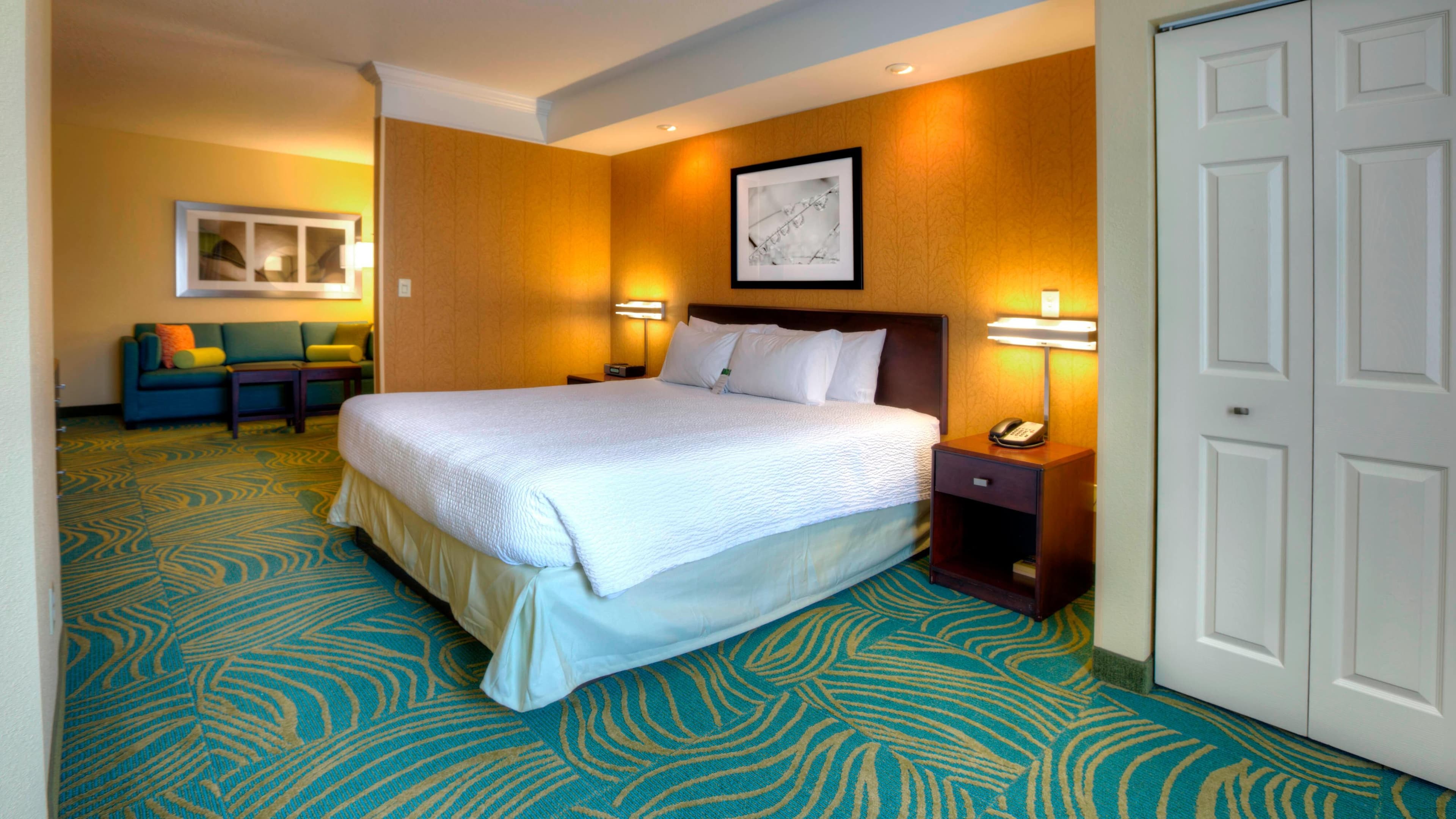 SpringHill Suites Tampa Brandon - Image 5