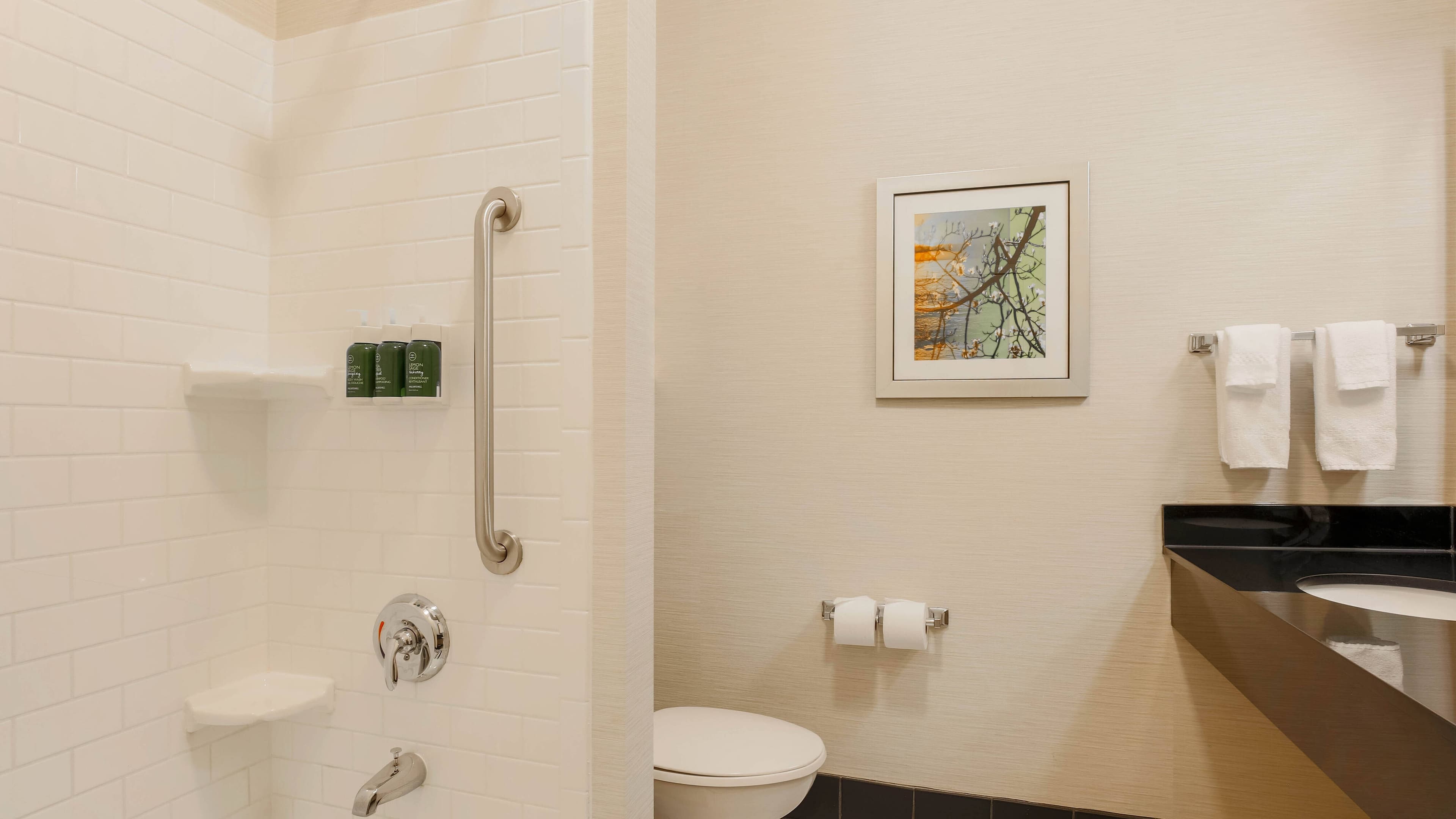 Fairfield Inn & Suites Tampa Fairgrounds/Casino - Image 4