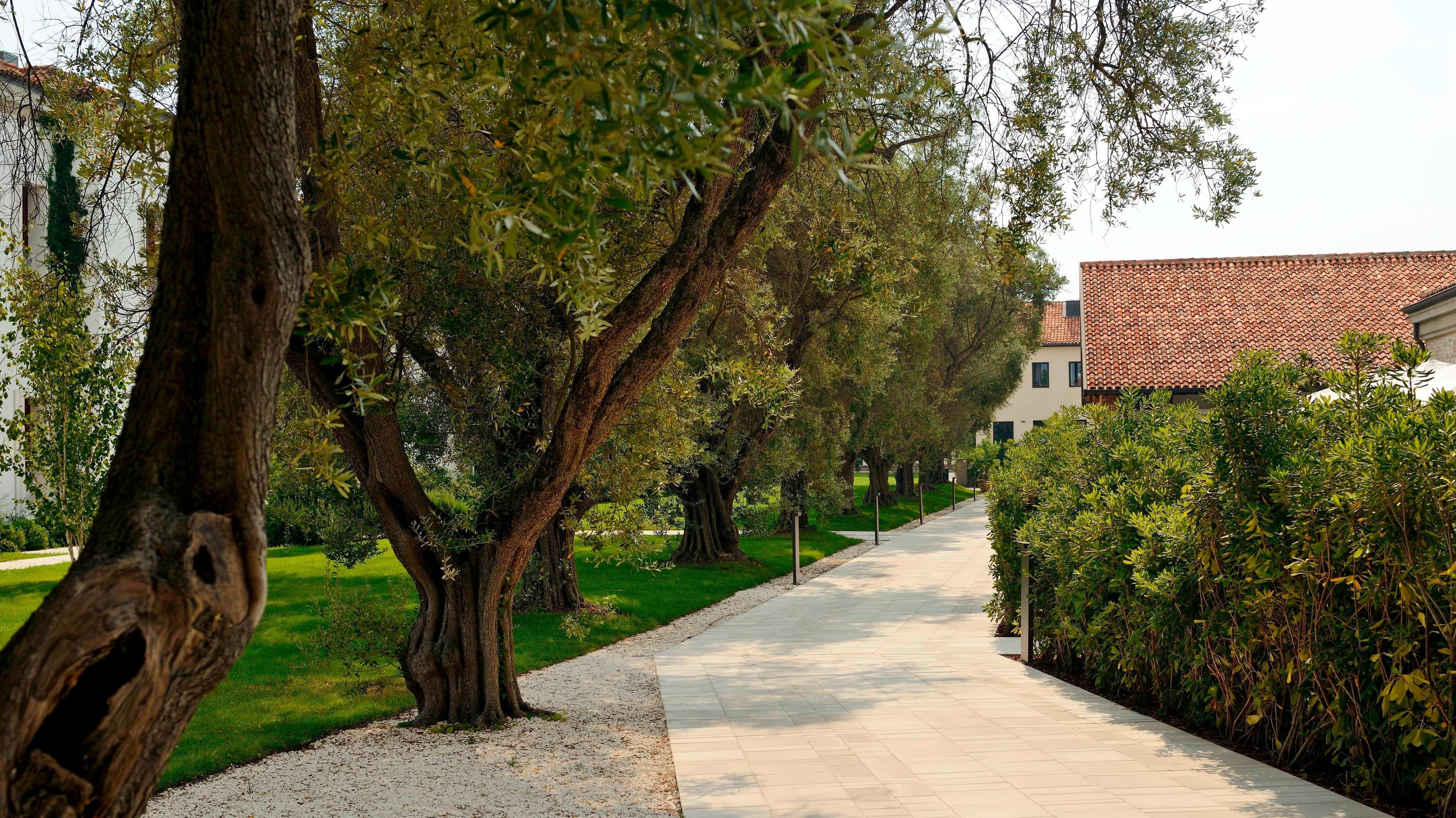 JW Marriott Venice Resort & Spa — 28